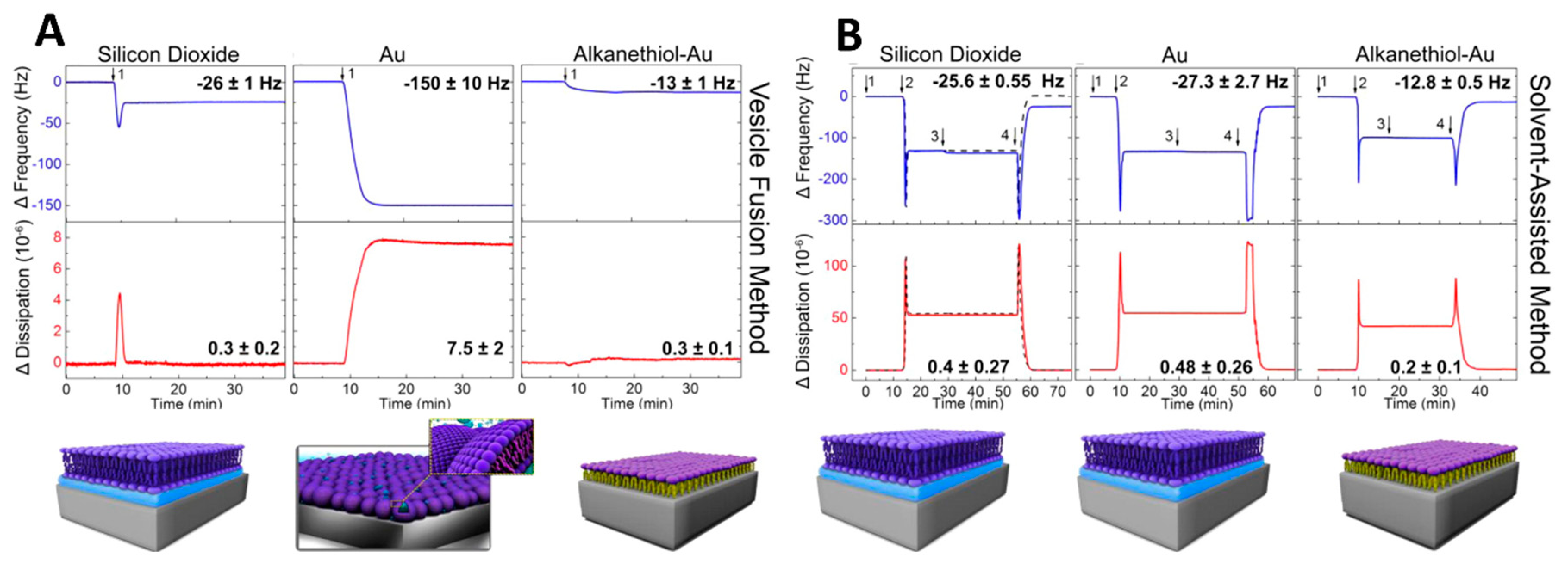 Polymers 12 01003 g013