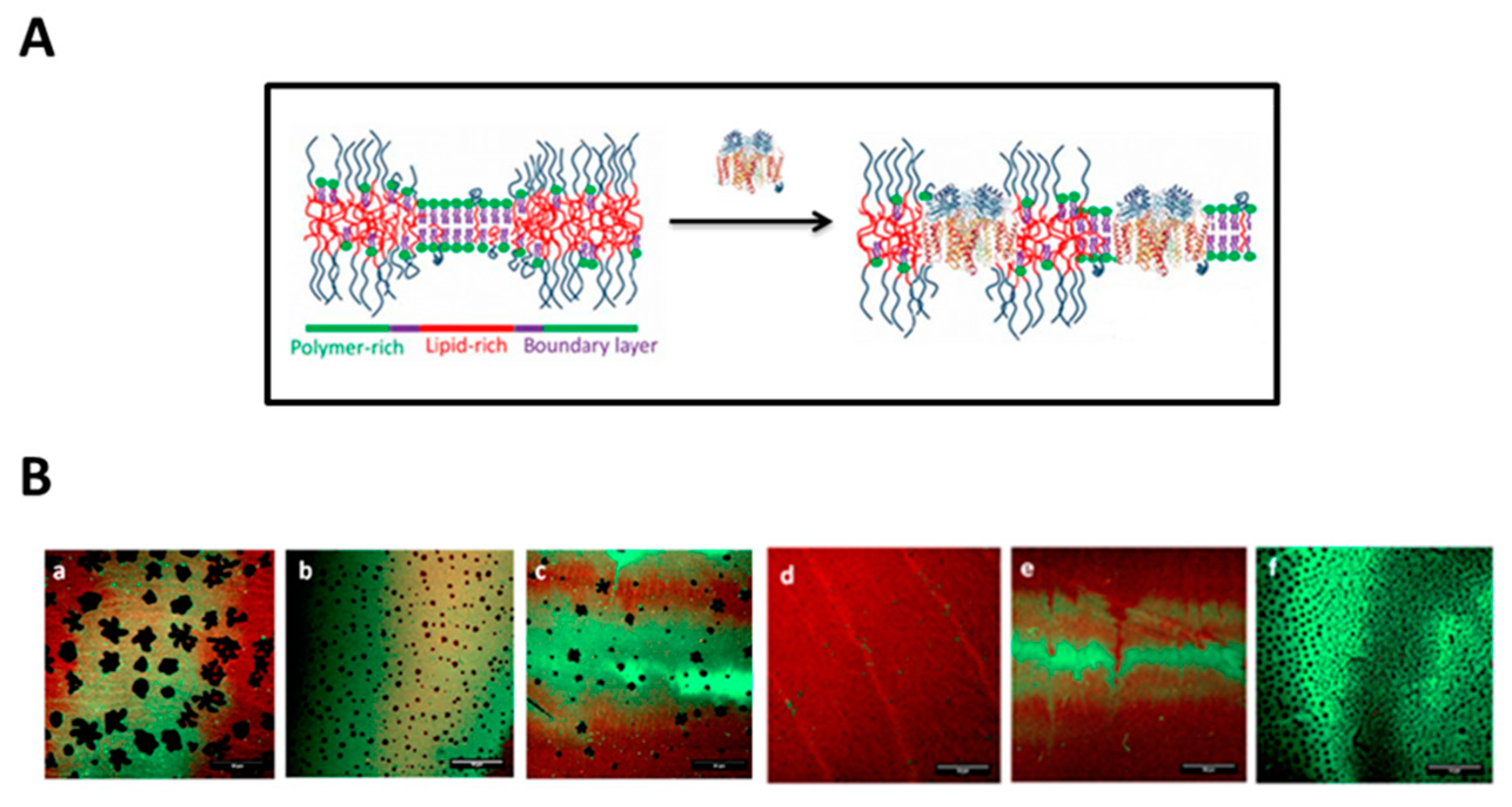 Polymers 12 01003 g014