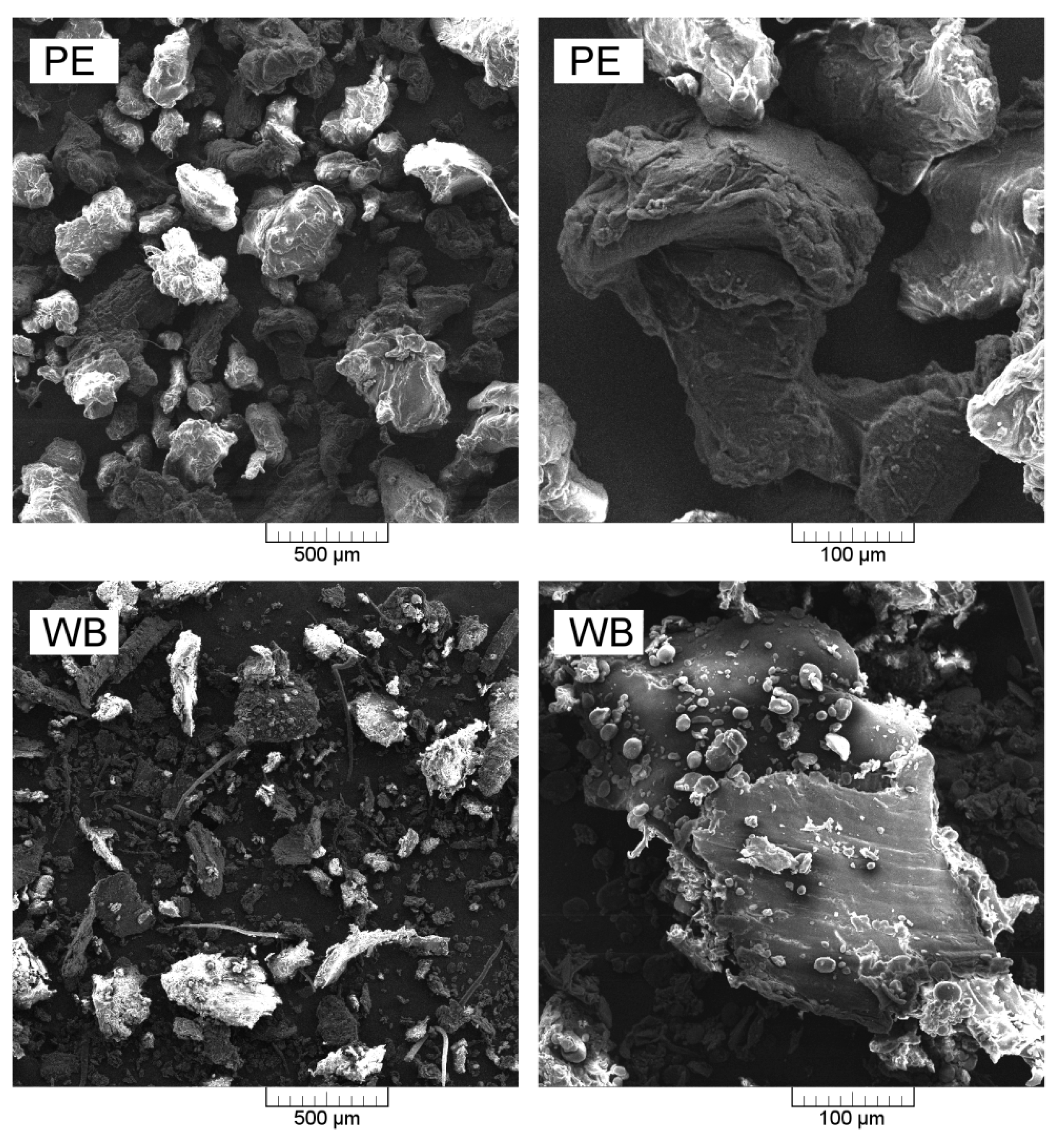 Polymers 12 01004 g002 Polymers 12 01004 g002