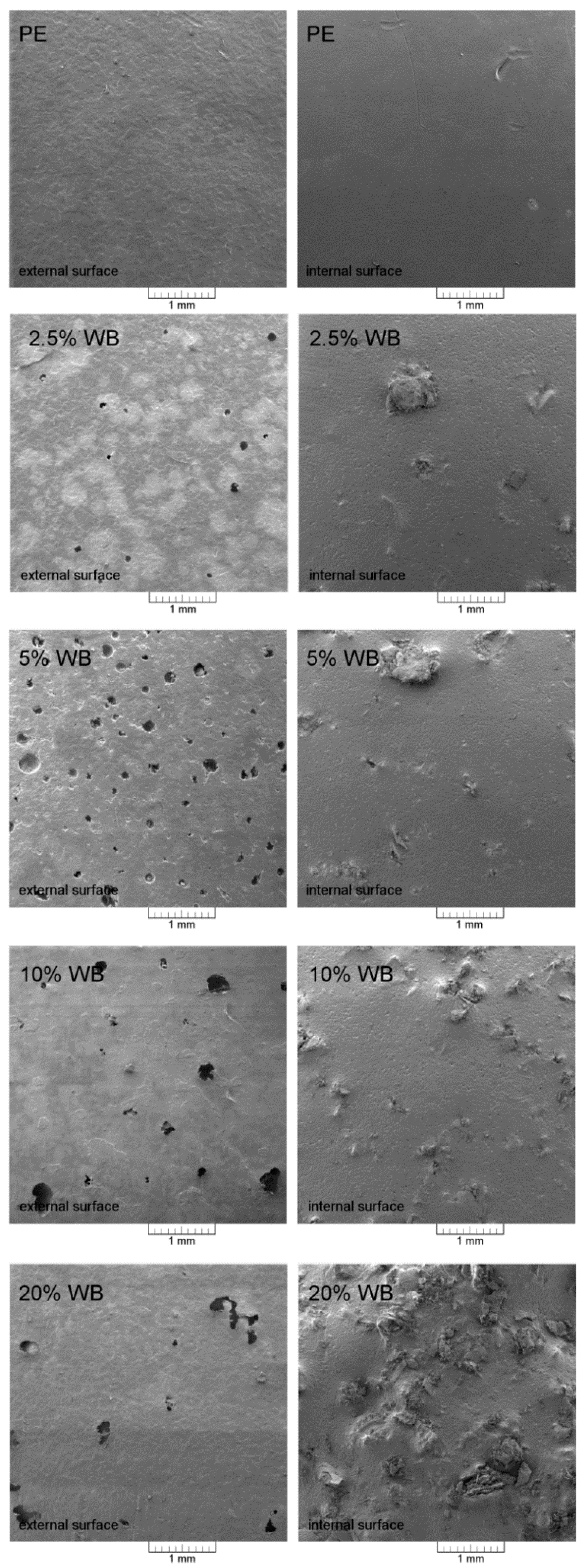 Polymers 12 01004 g005 Polymers 12 01004 g005