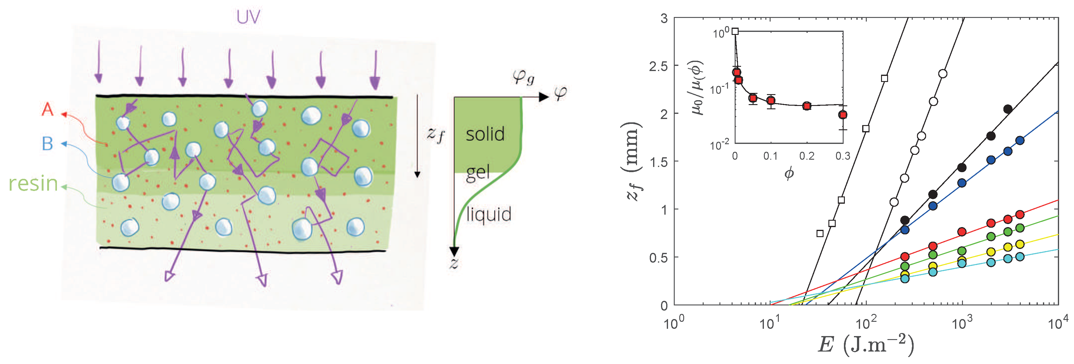 Polymers 12 01008 g003