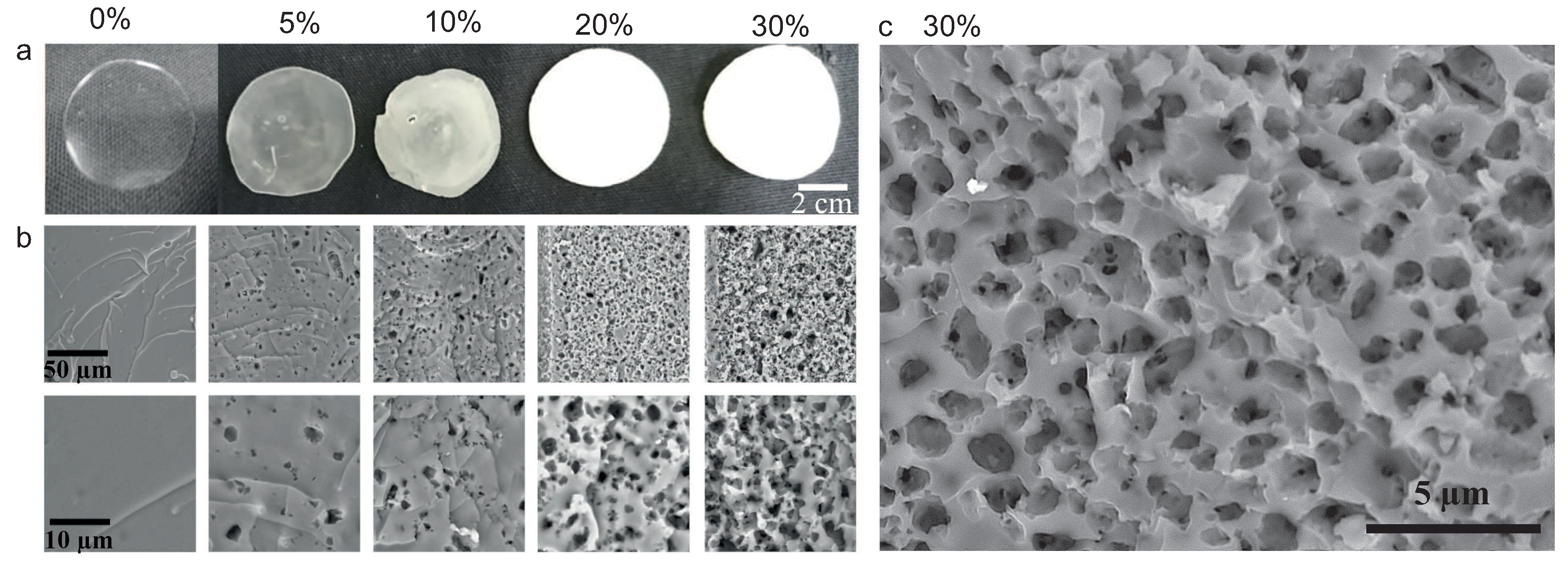 Polymers 12 01008 g004
