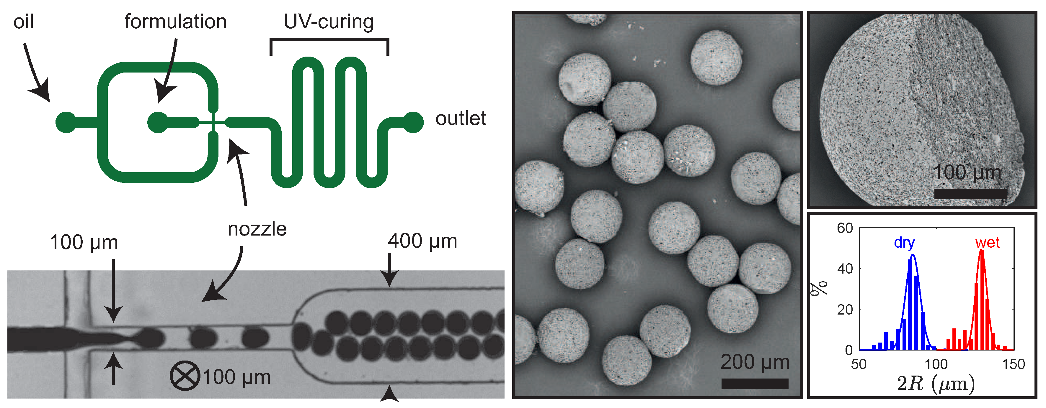 Polymers 12 01008 g008