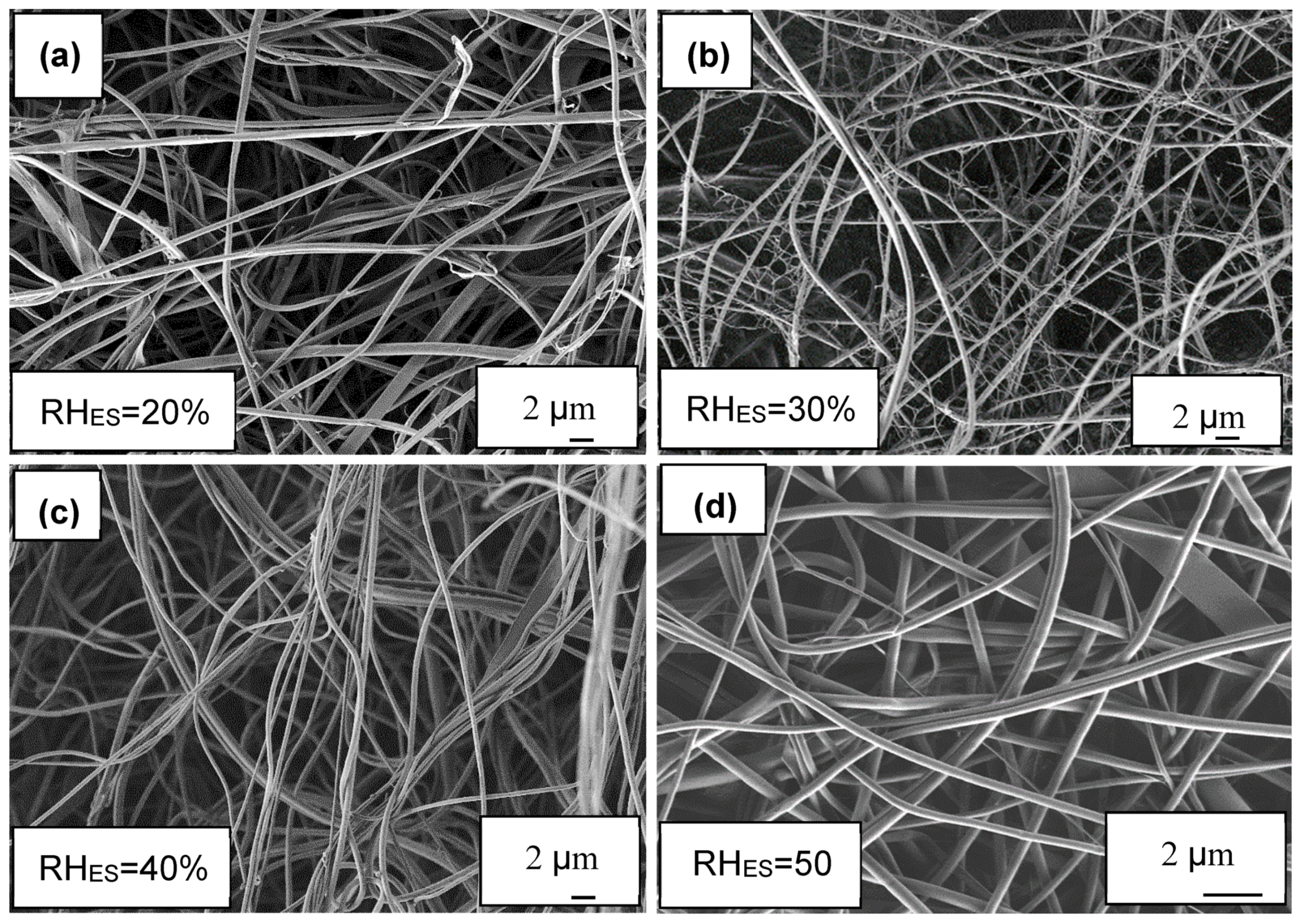 Polymers 12 01020 g001 Polymers 12 01020 g001