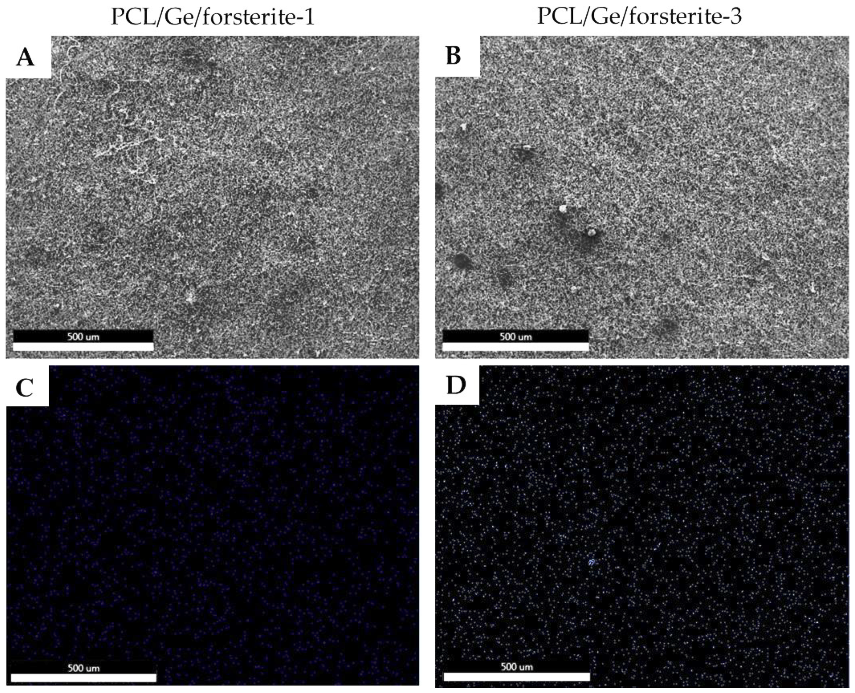 Polymers 12 01022 g002 Polymers 12 01022 g002