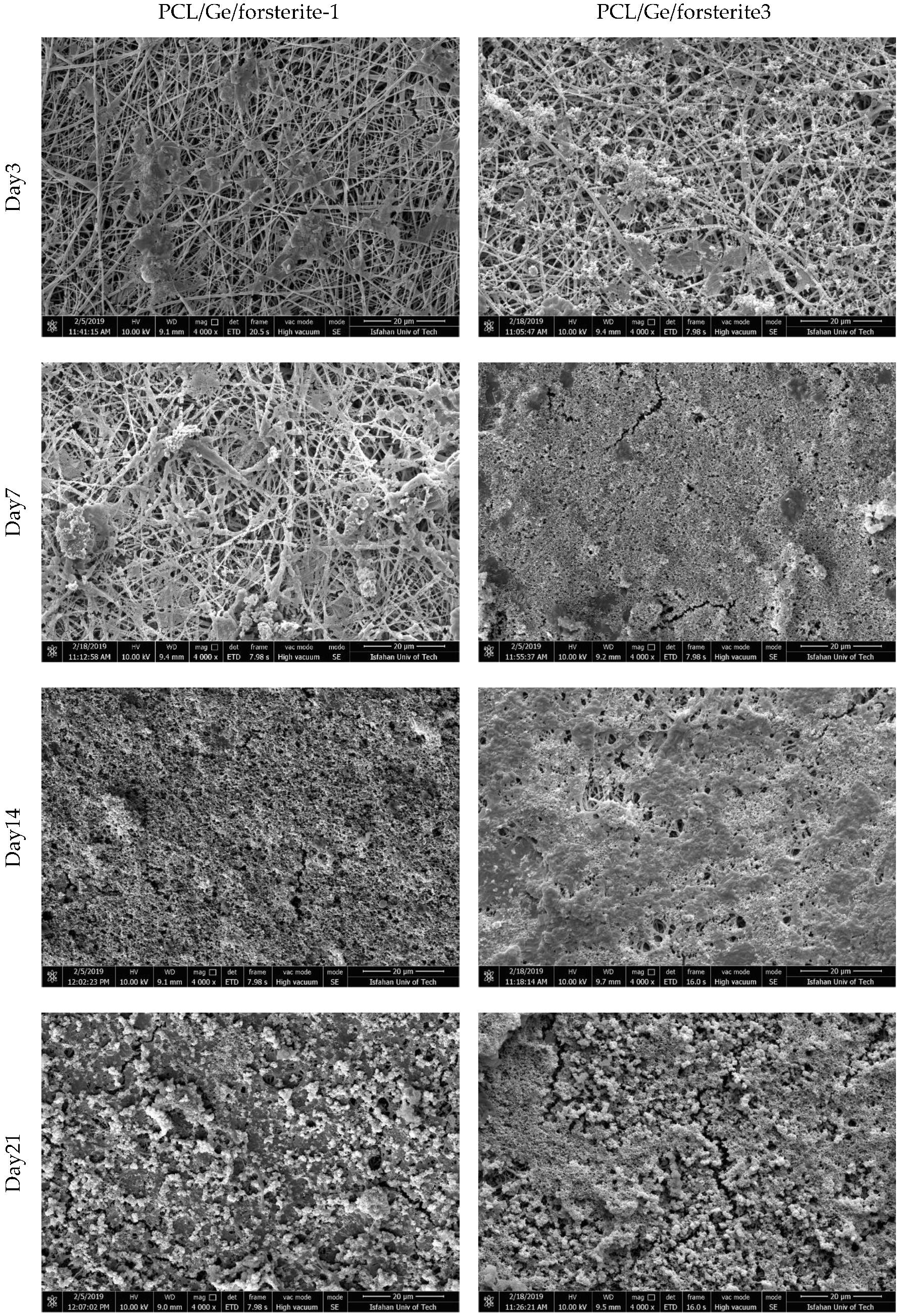 Polymers 12 01022 g005 Polymers 12 01022 g005