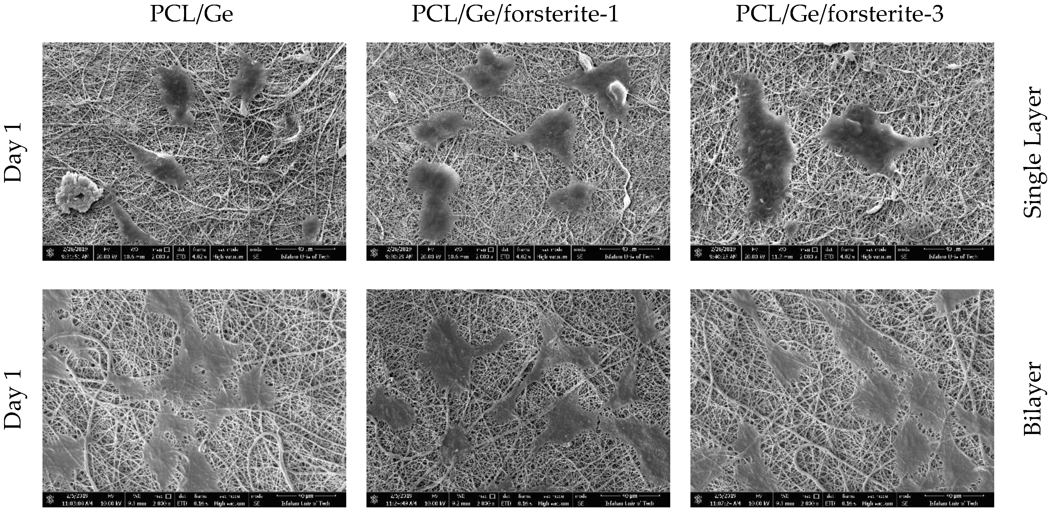 Polymers 12 01022 g007a Polymers 12 01022 g007a