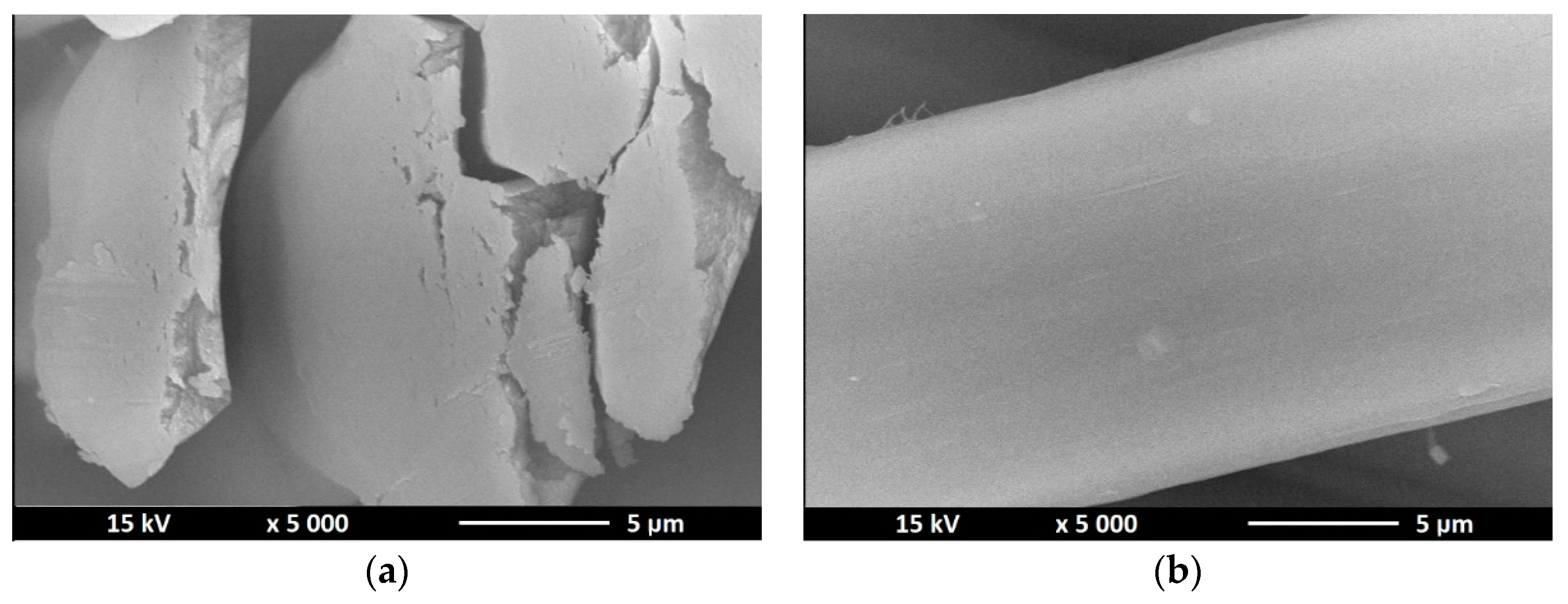 Polymers 12 01040 g005 Polymers 12 01040 g005