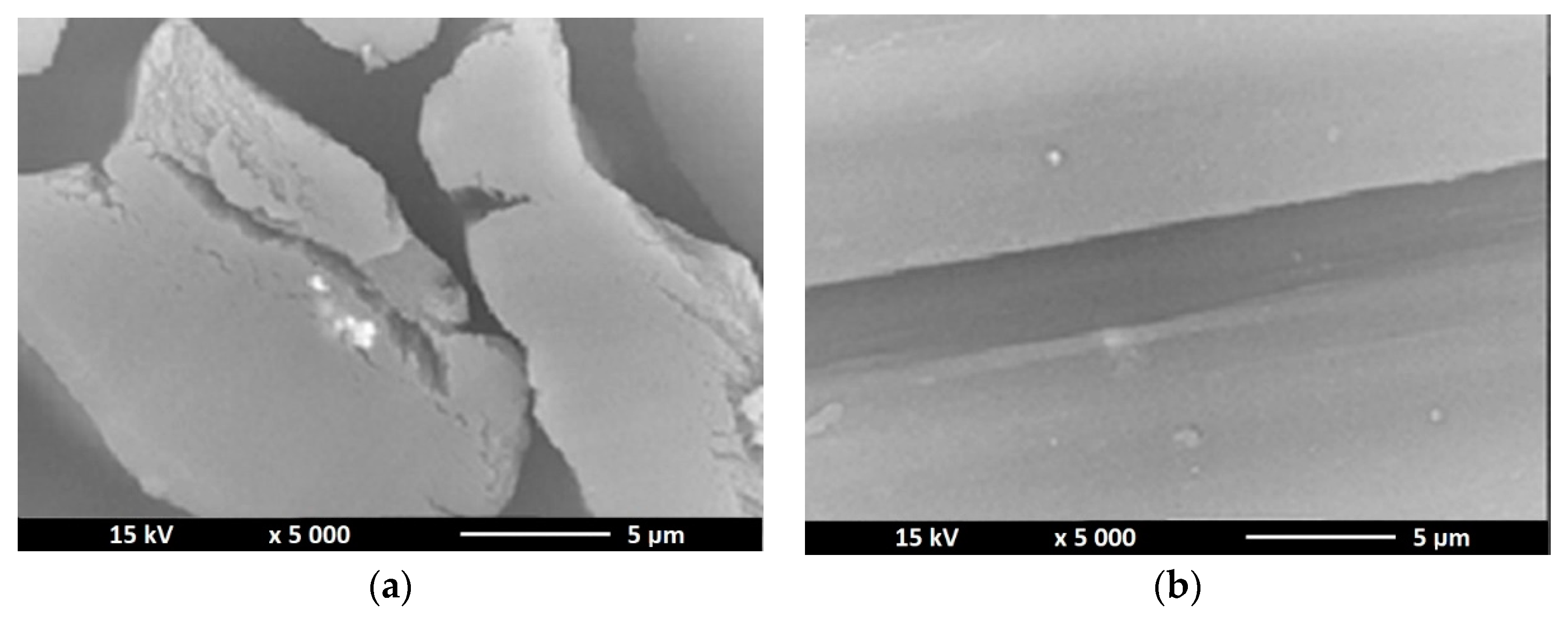 Polymers 12 01040 g006 Polymers 12 01040 g006