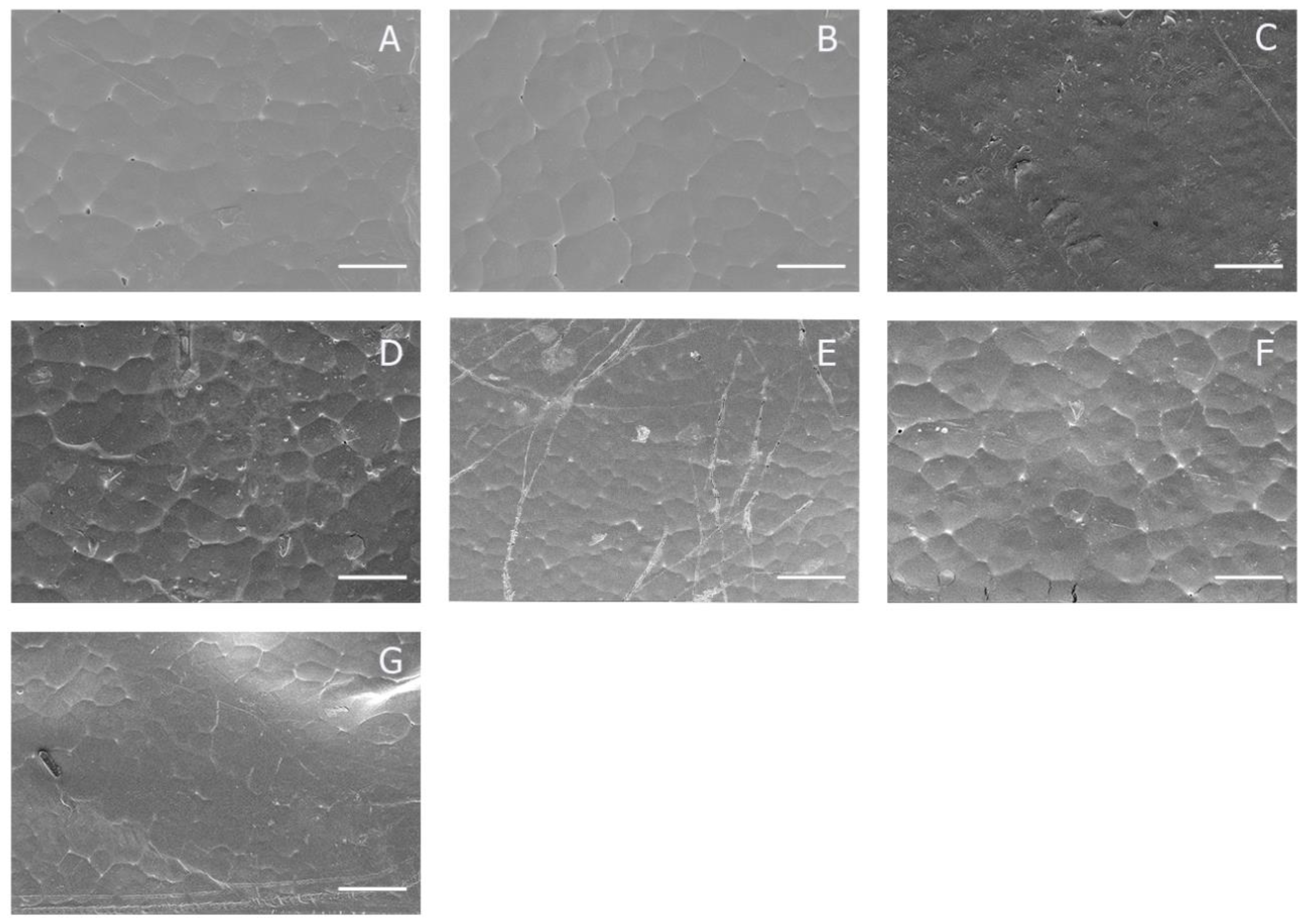 Polymers 12 01042 g003