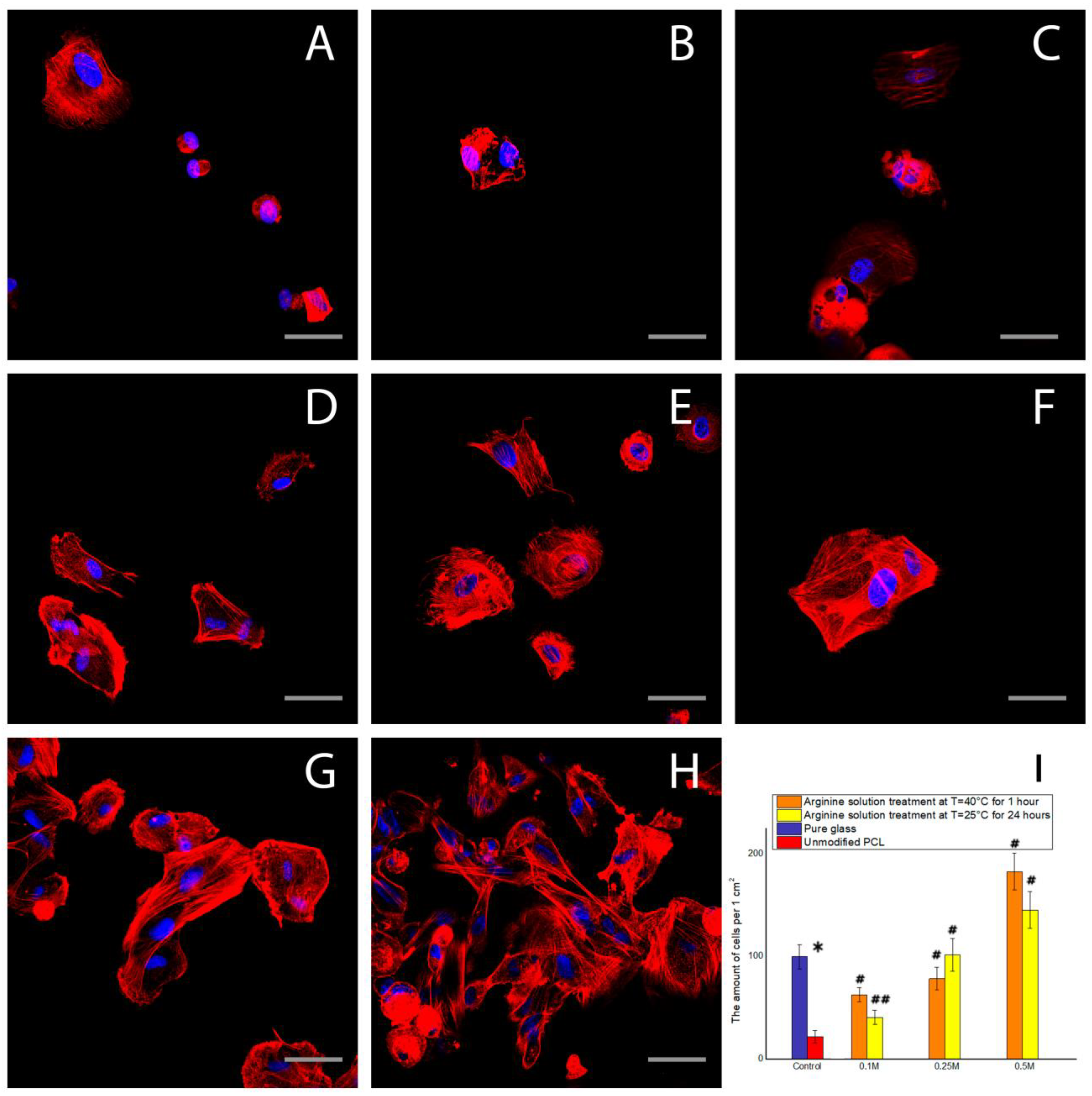 Polymers 12 01042 g005