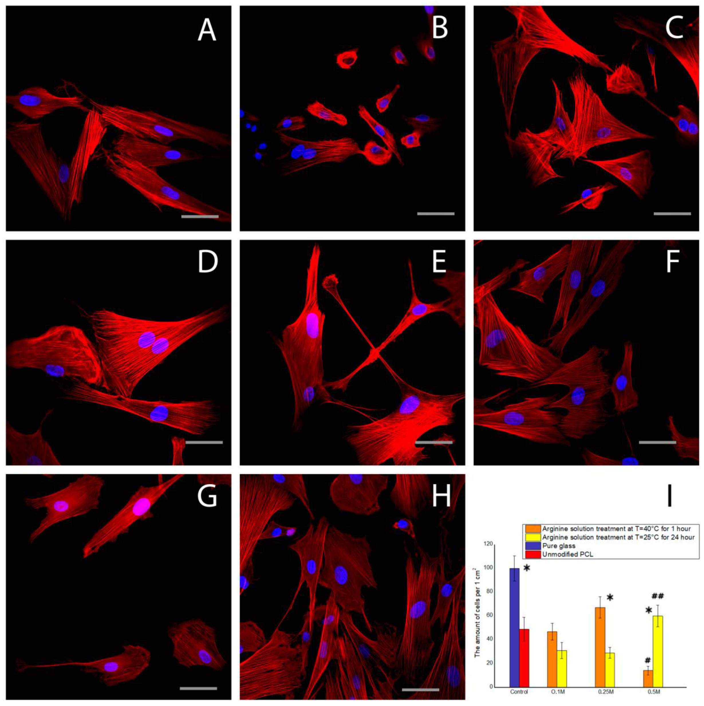 Polymers 12 01042 g006