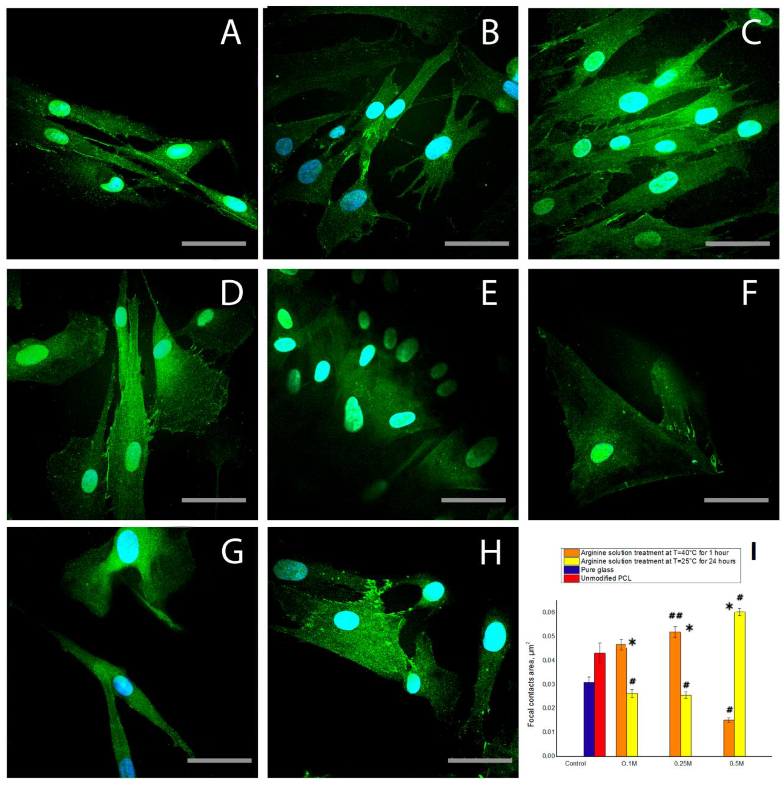 Polymers 12 01042 g007