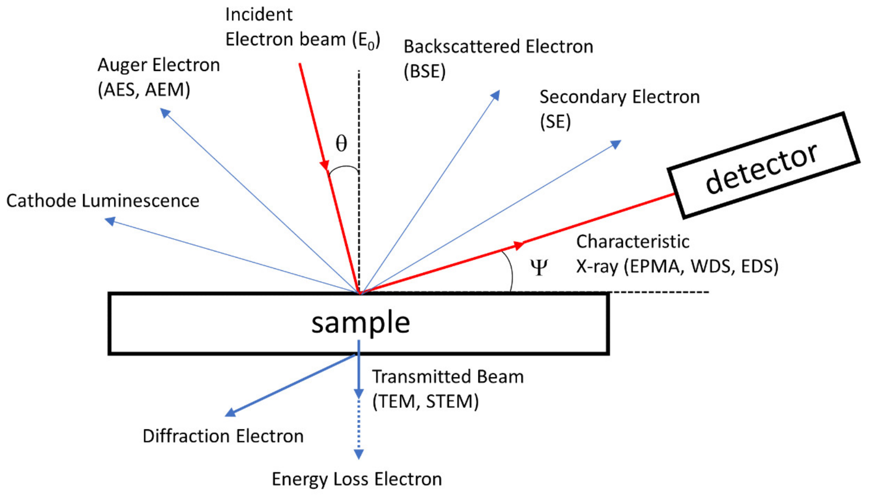 Polymers 12 01053 g012