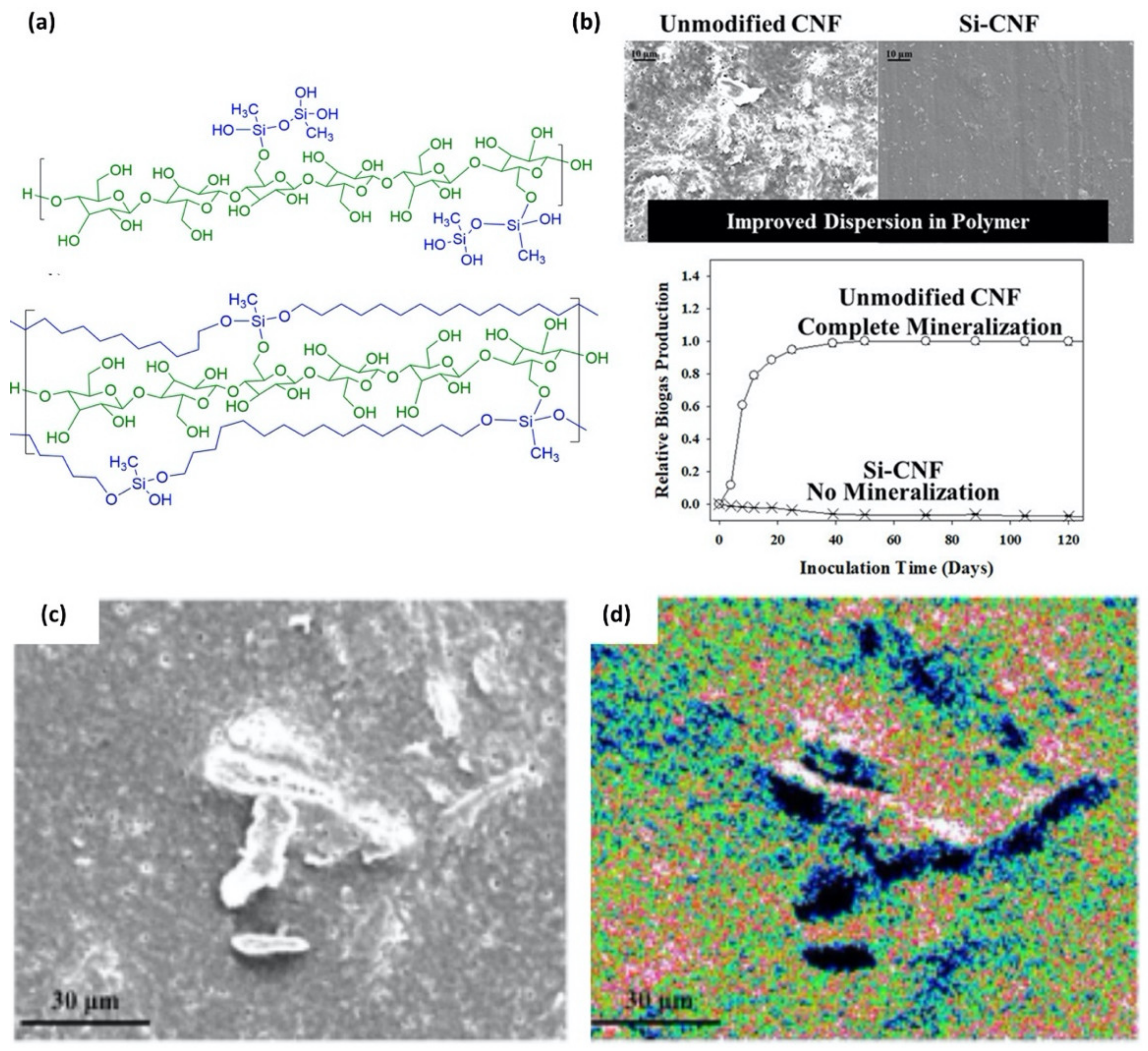 Polymers 12 01053 g013