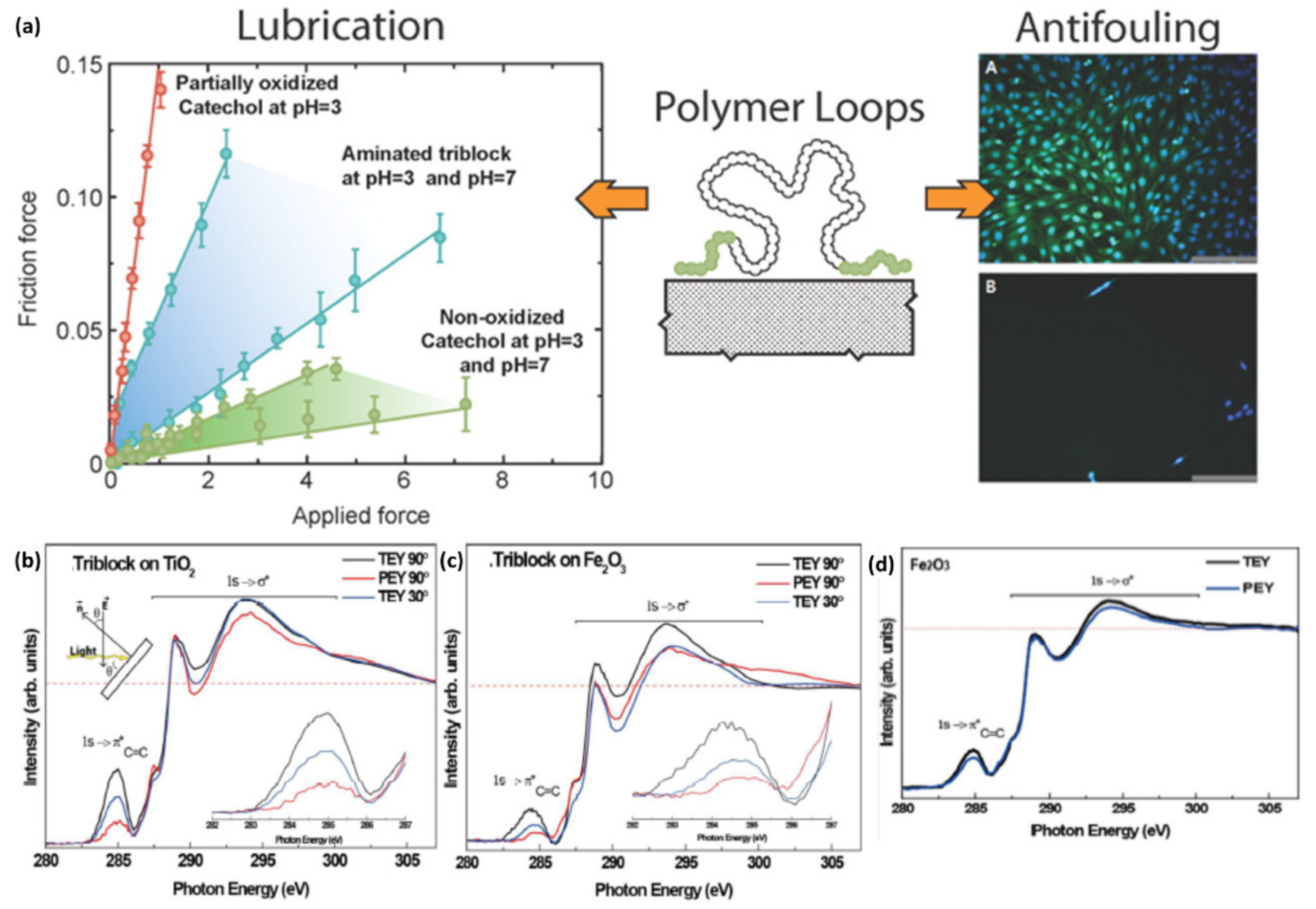 Polymers 12 01053 g018