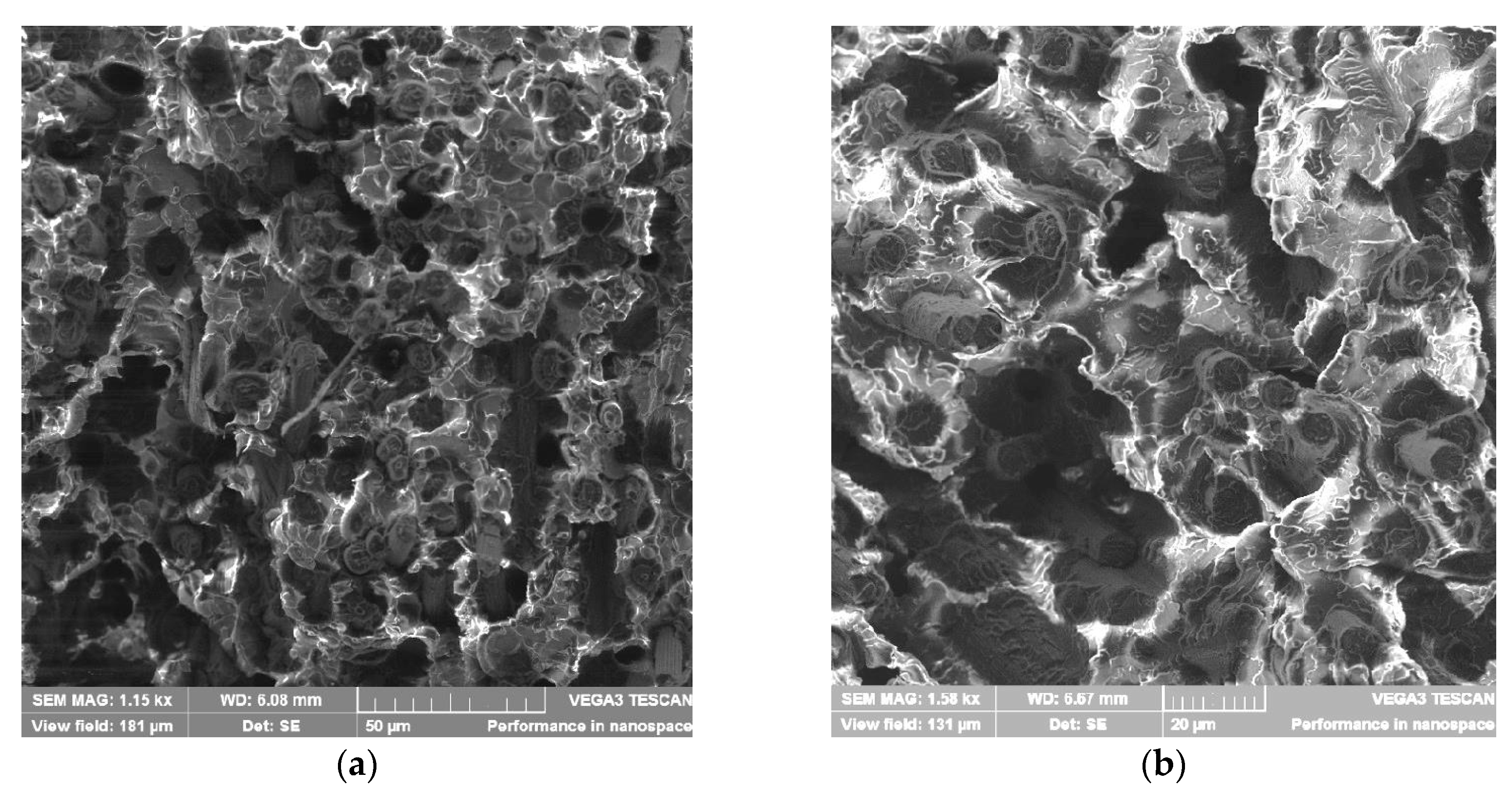 Polymers 12 01056 g008a Polymers 12 01056 g008a