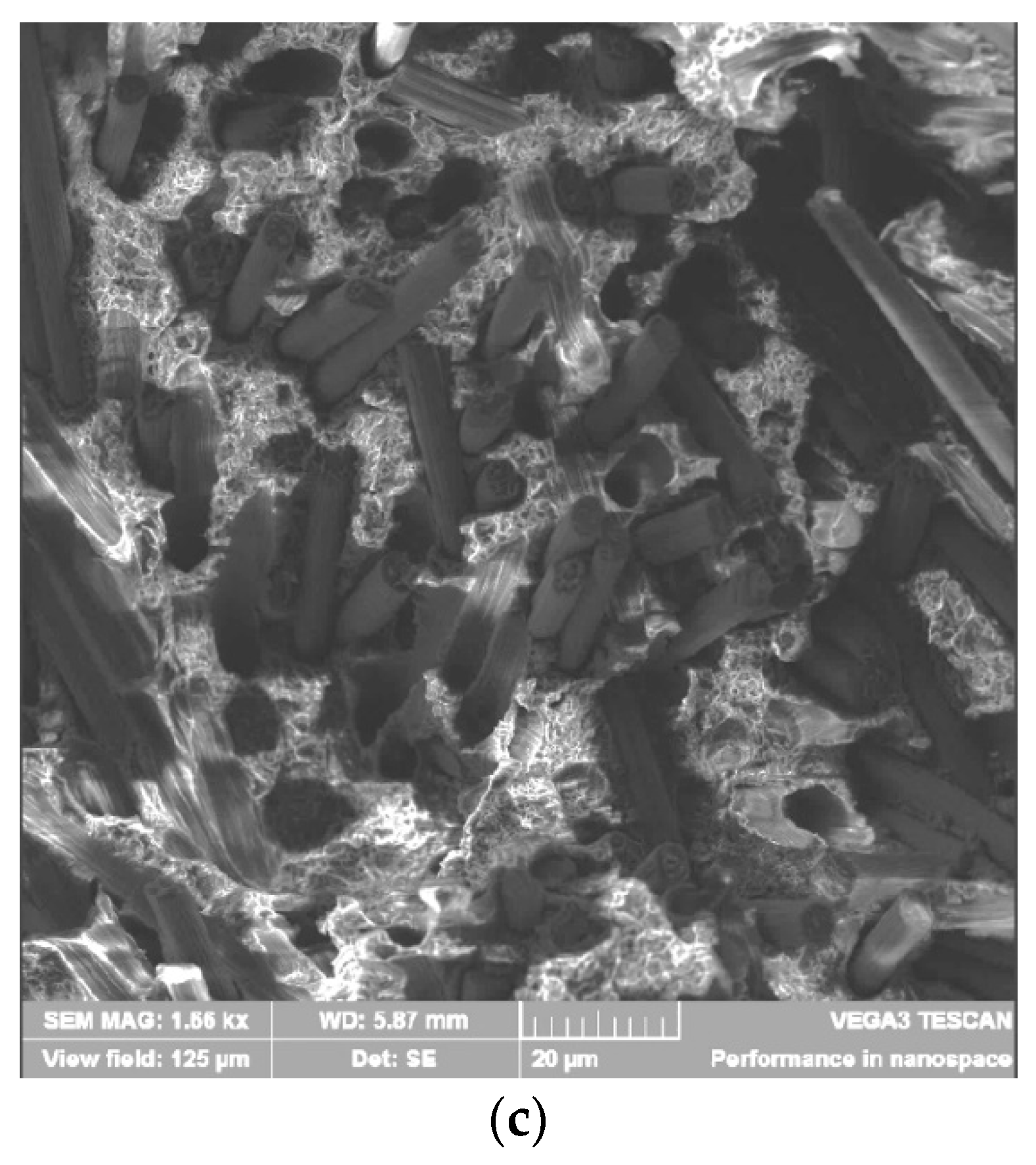 Polymers 12 01056 g008b Polymers 12 01056 g008b