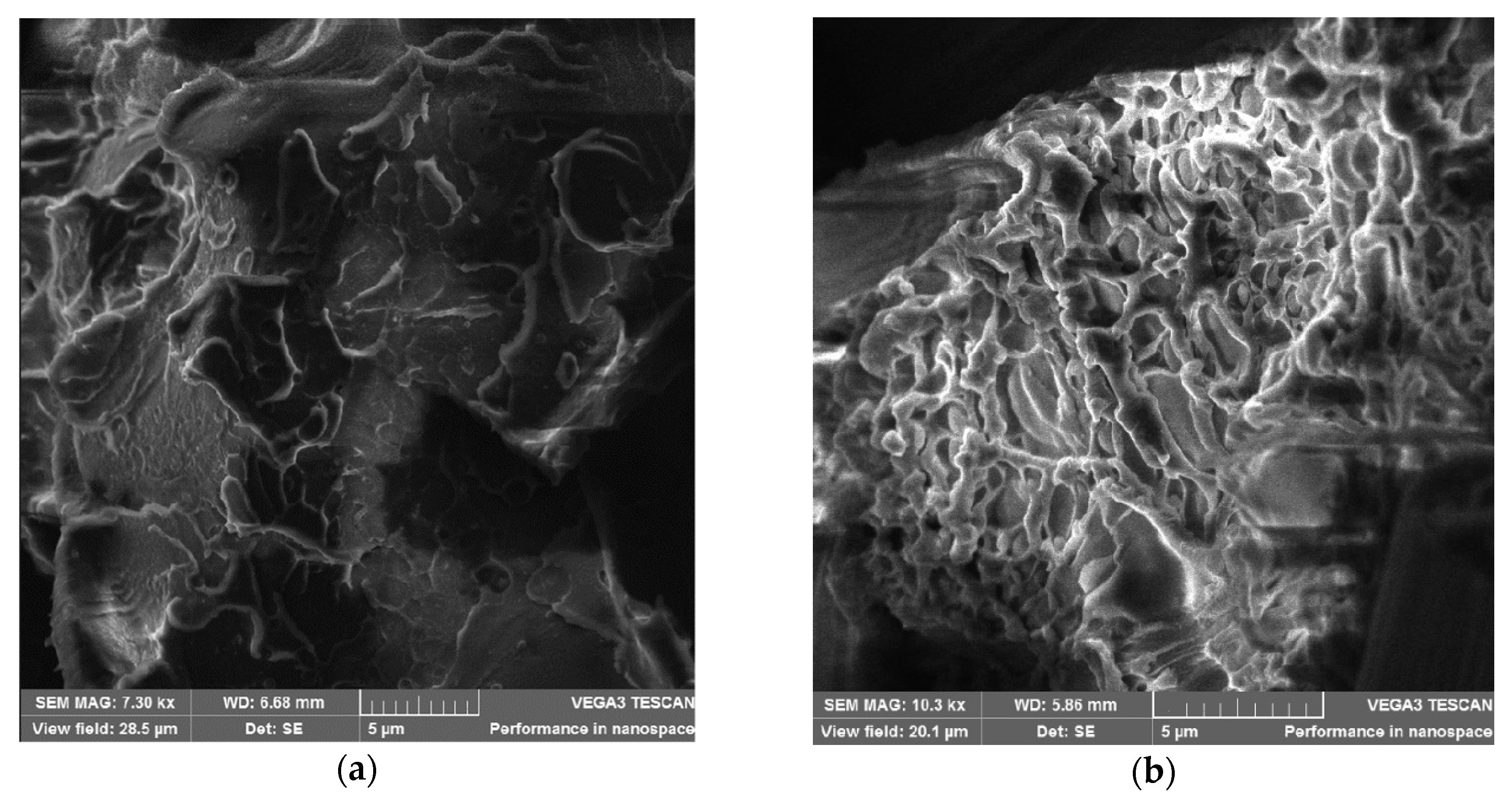 Polymers 12 01056 g009 Polymers 12 01056 g009