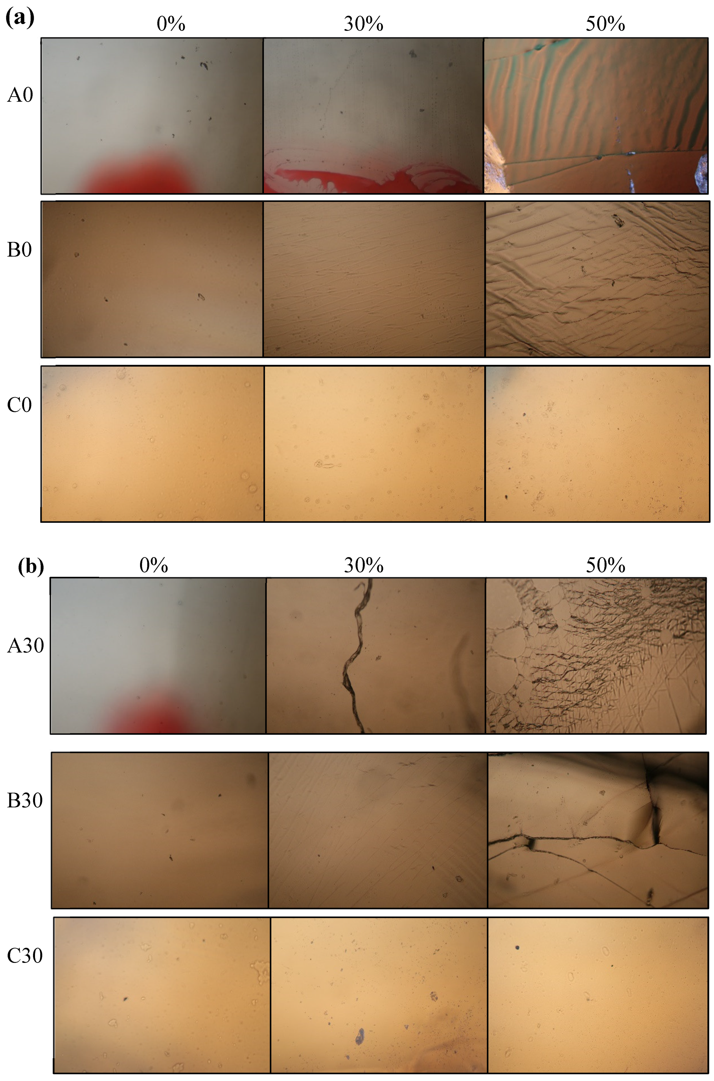 Polymers 12 01058 g003