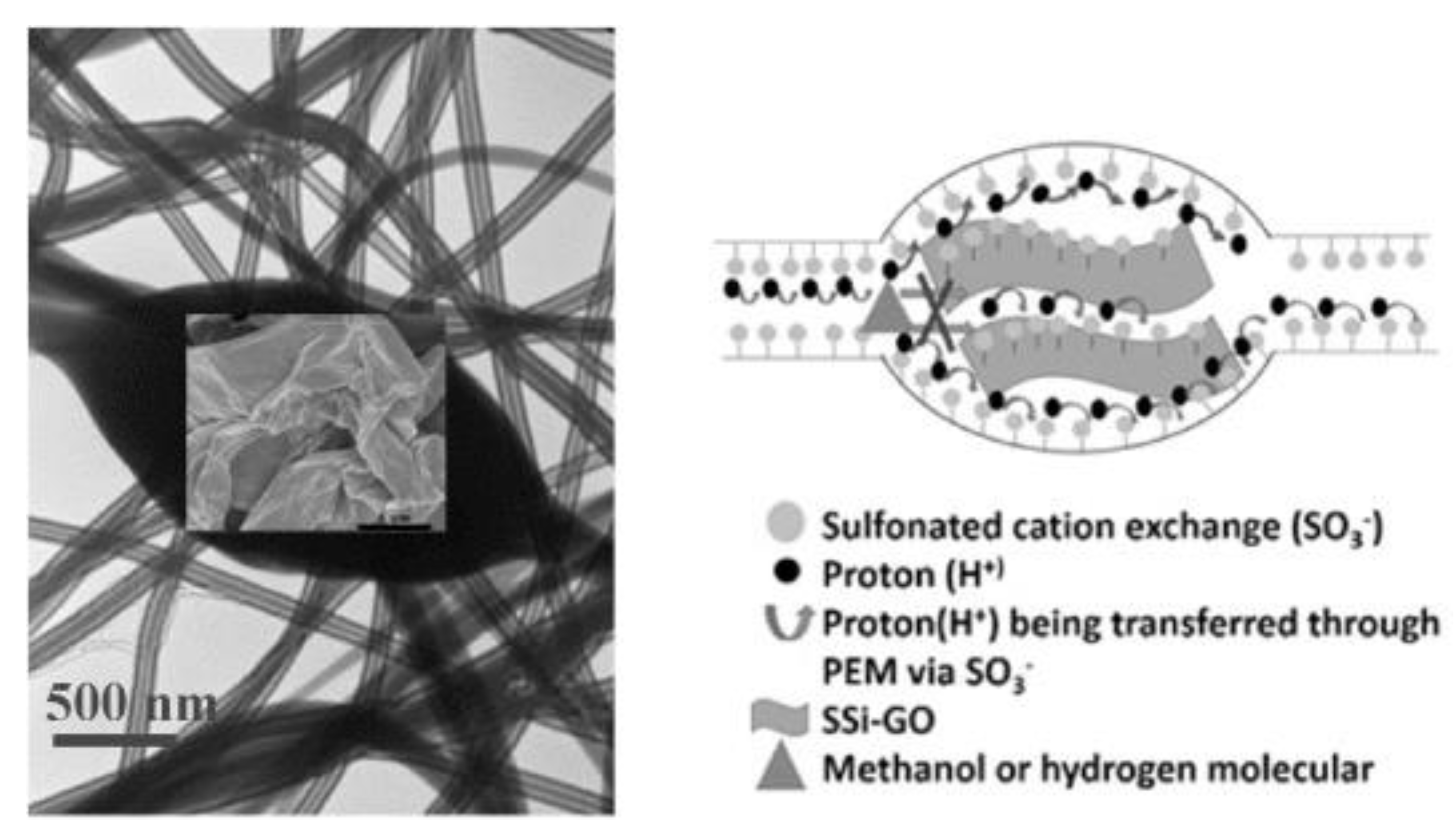 Polymers 12 01061 g002
