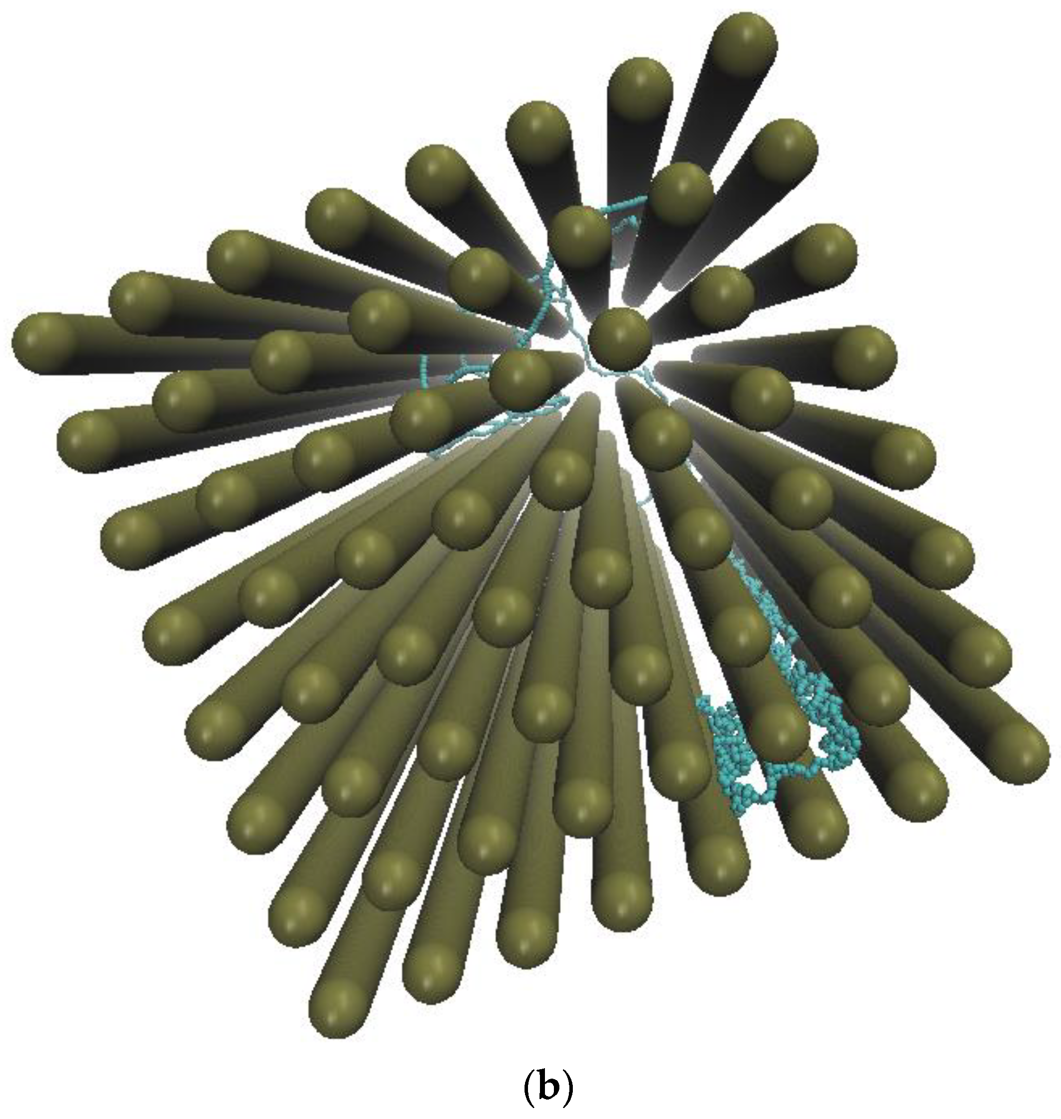 Polymers 12 01064 g001b