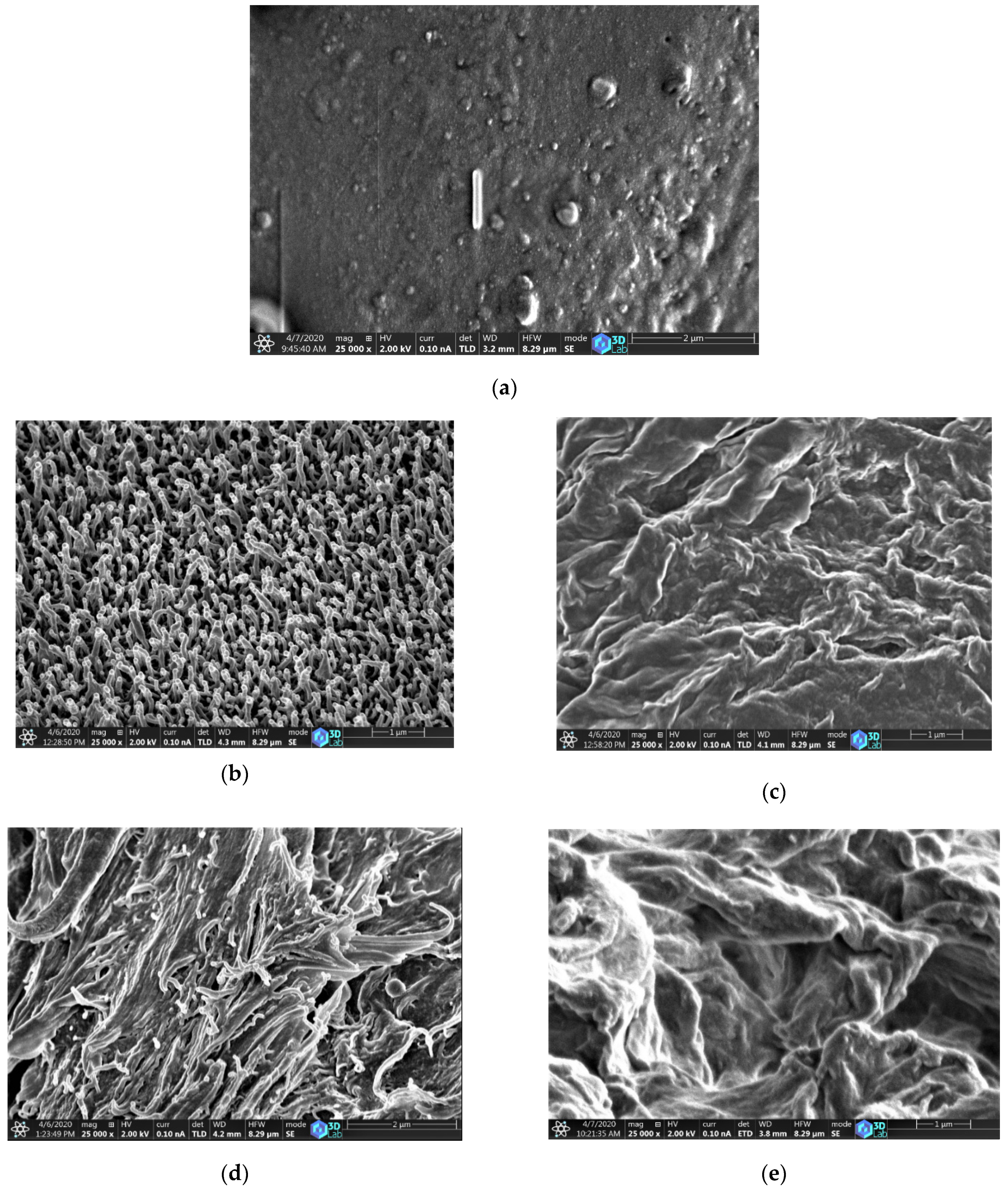Polymers 12 01065 g007