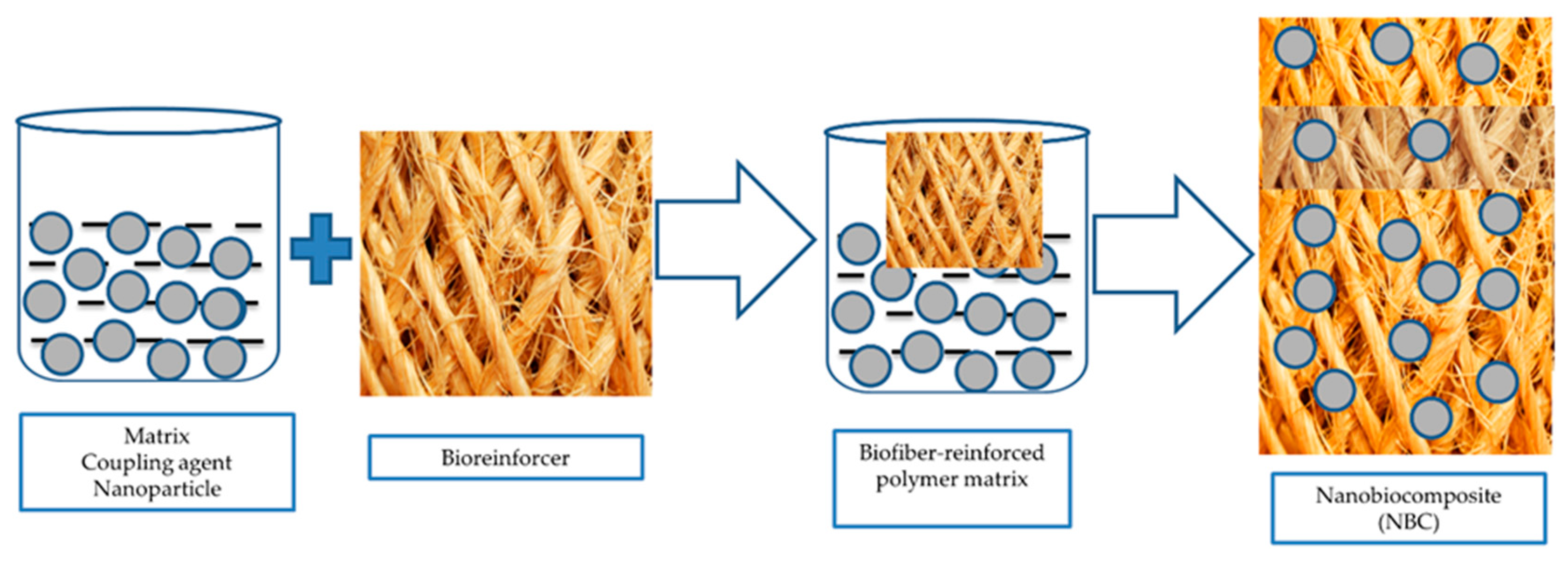Polymers 12 01072 g002
