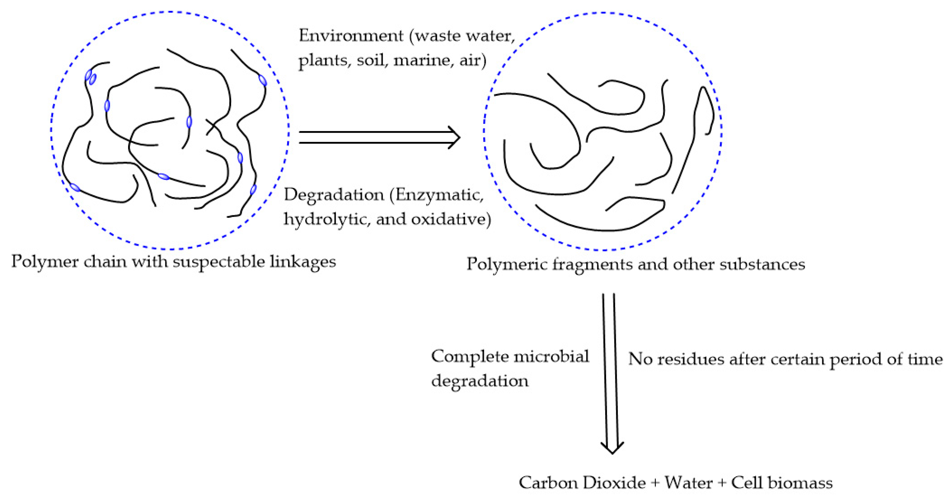 Polymers 12 01072 g003