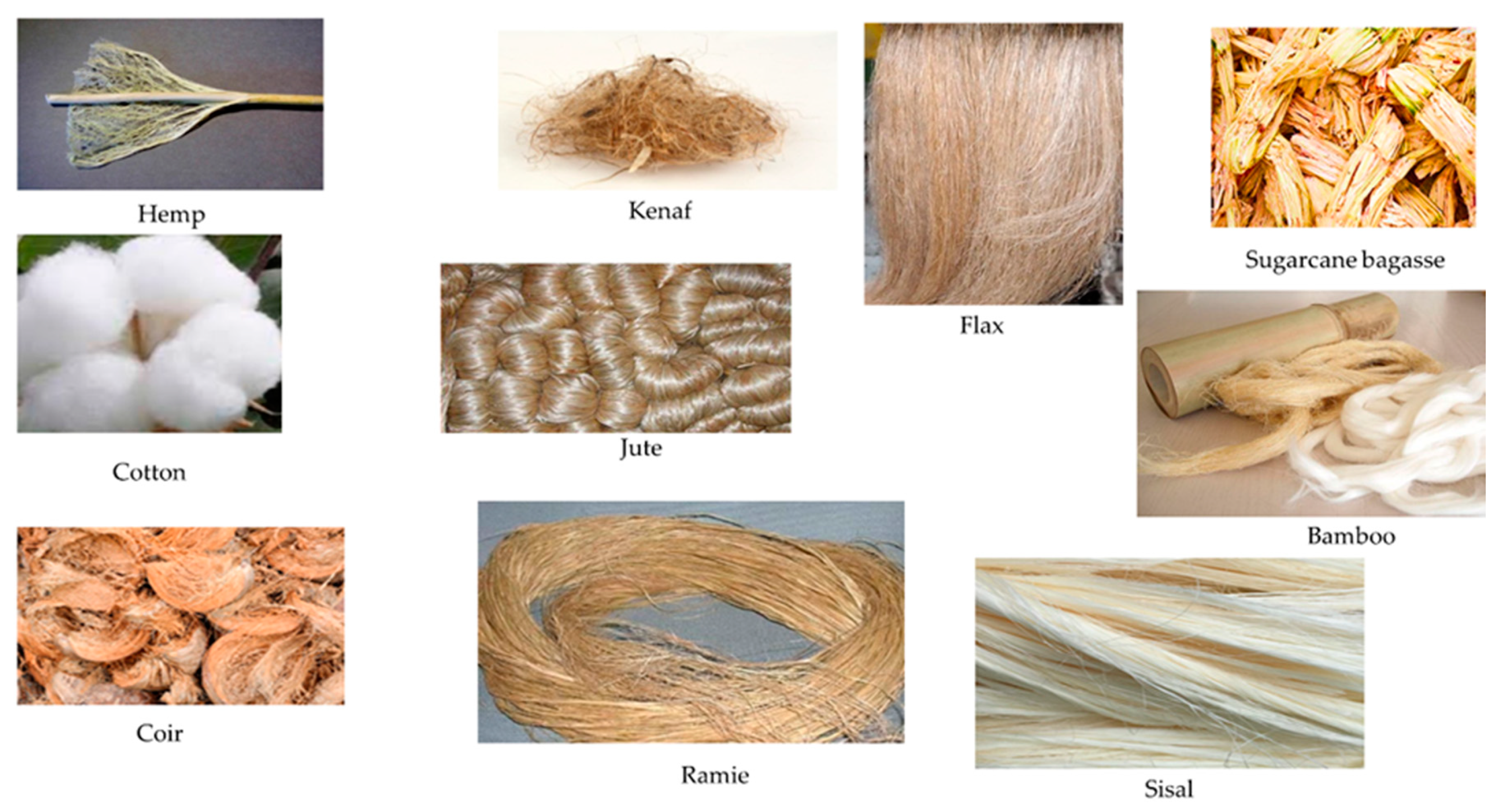 Polymers 12 01072 g005