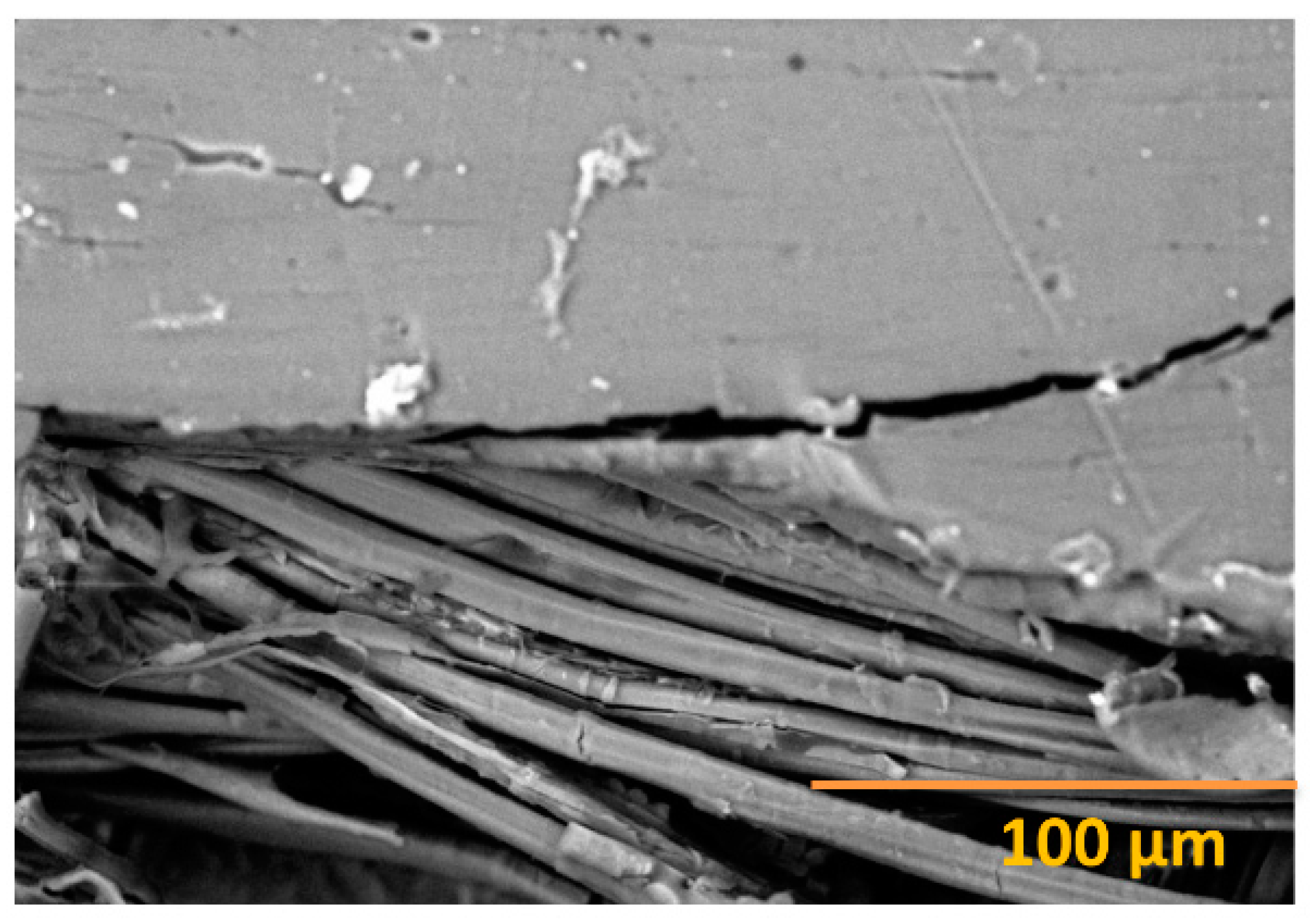 Polymers 12 01072 g008