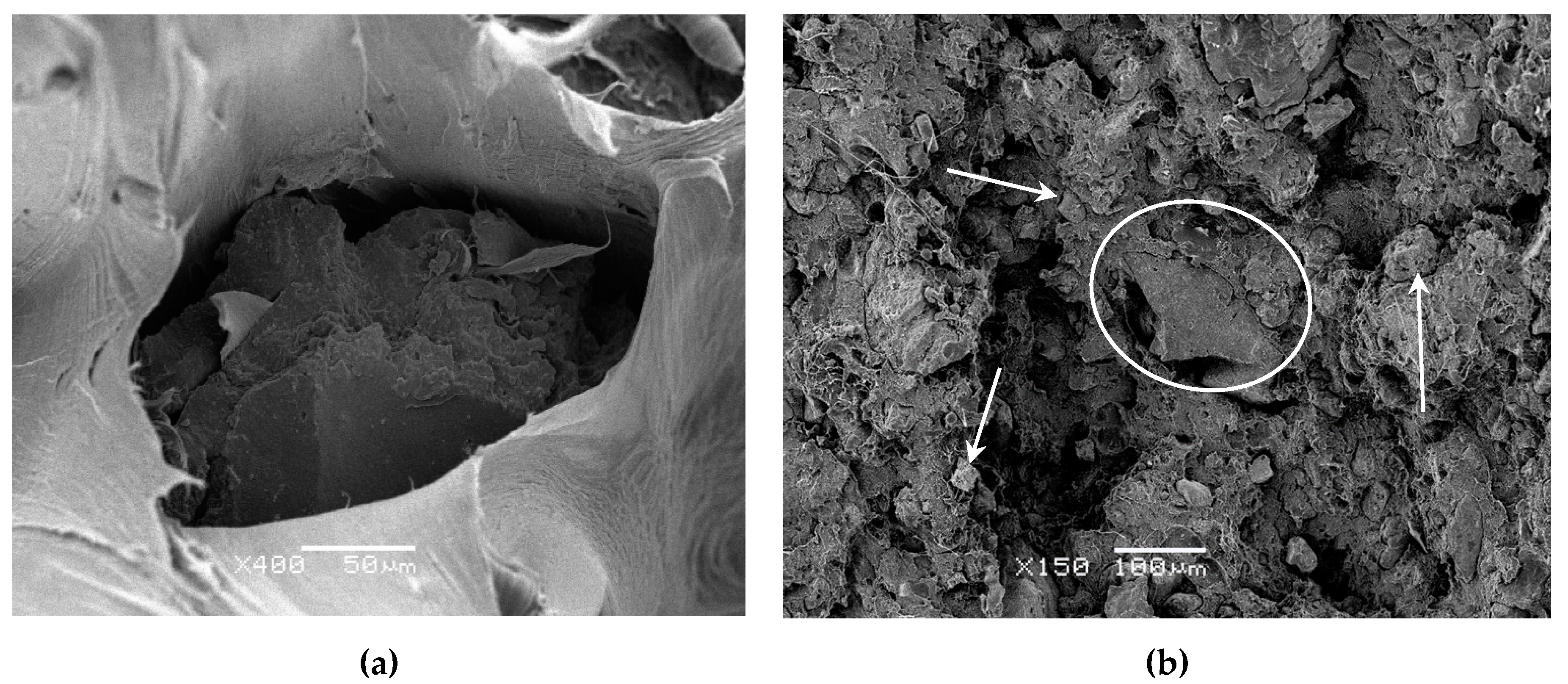Polymers 12 01075 g003 Polymers 12 01075 g003