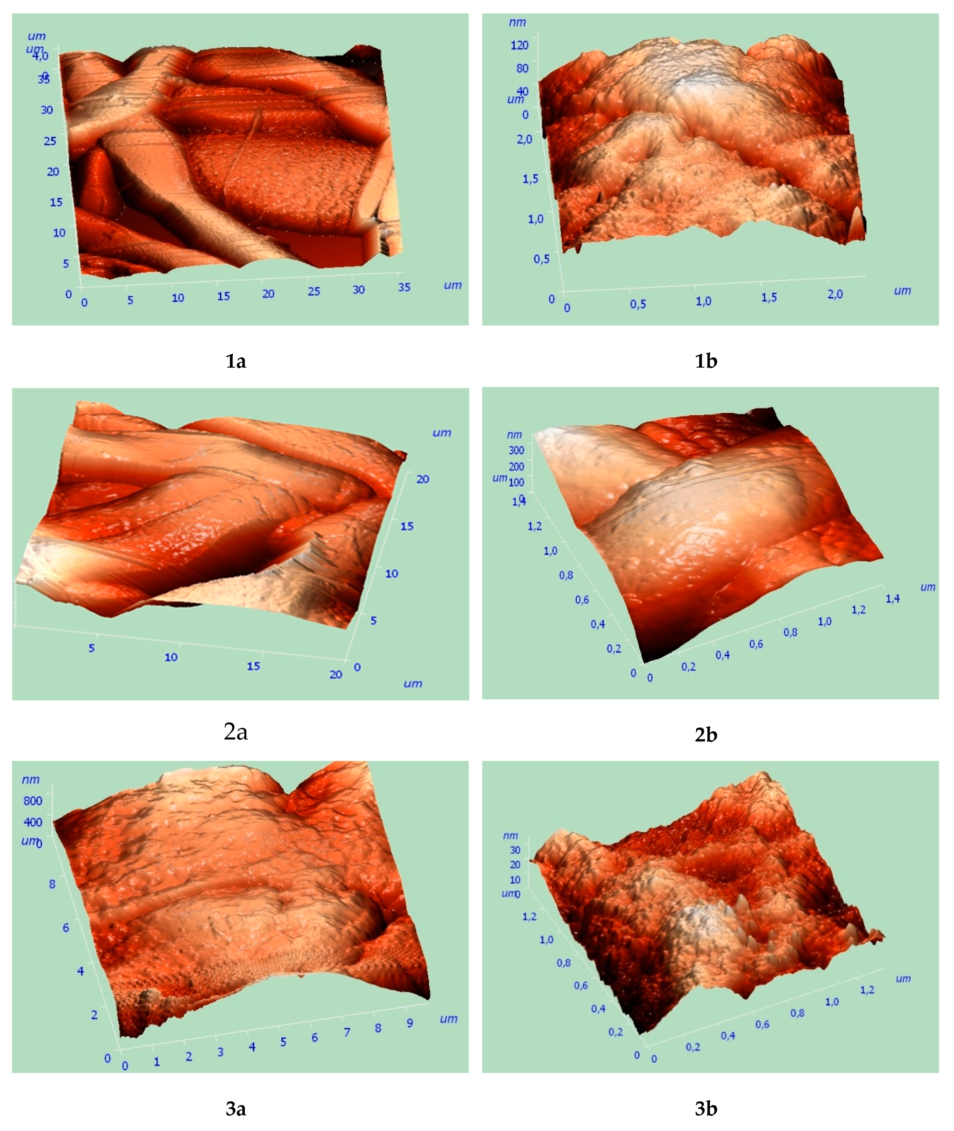 Polymers 12 01088 g006