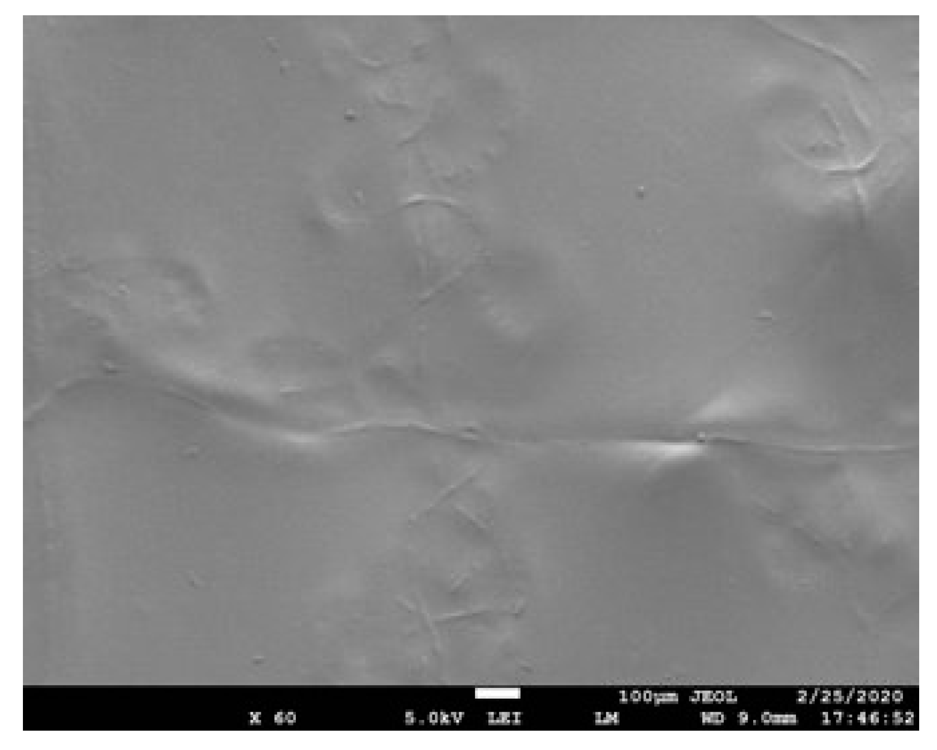 Polymers 12 01089 g002