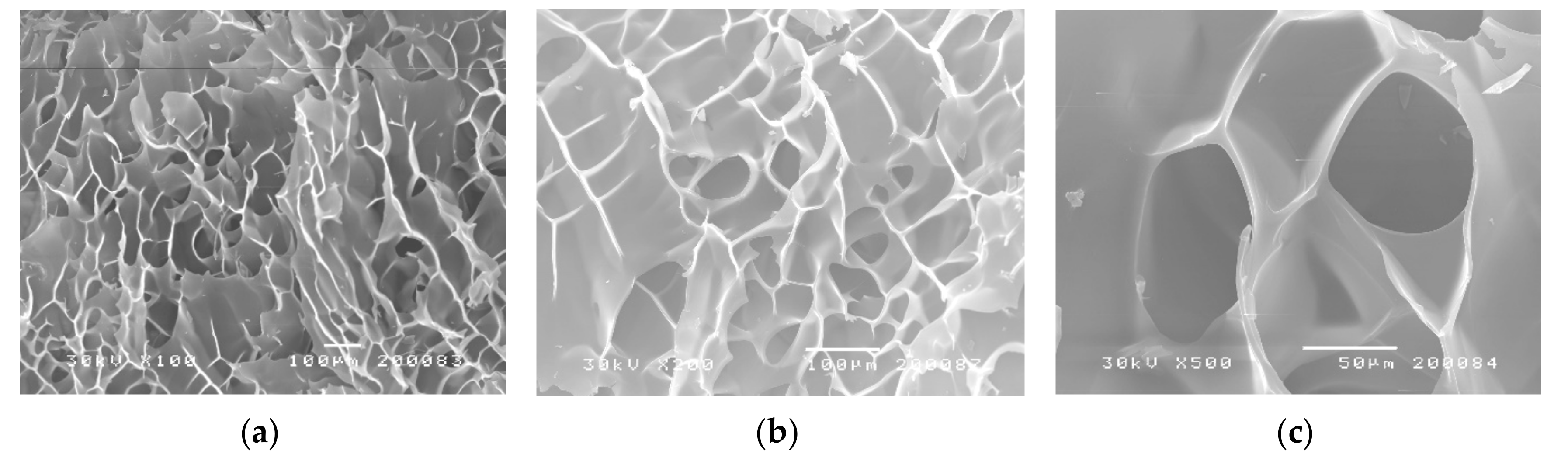 Polymers 12 01112 g003