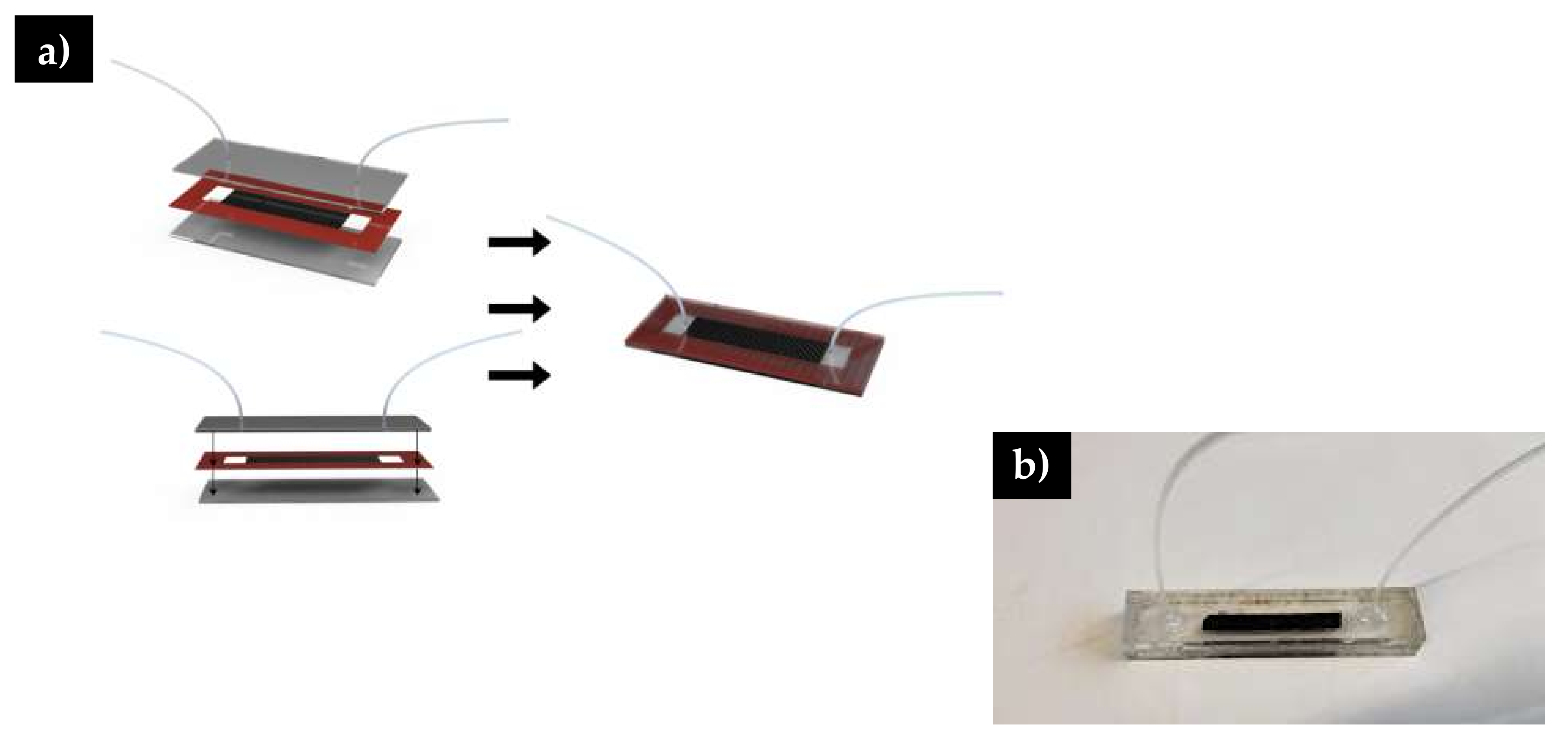 Polymers 12 01117 g002