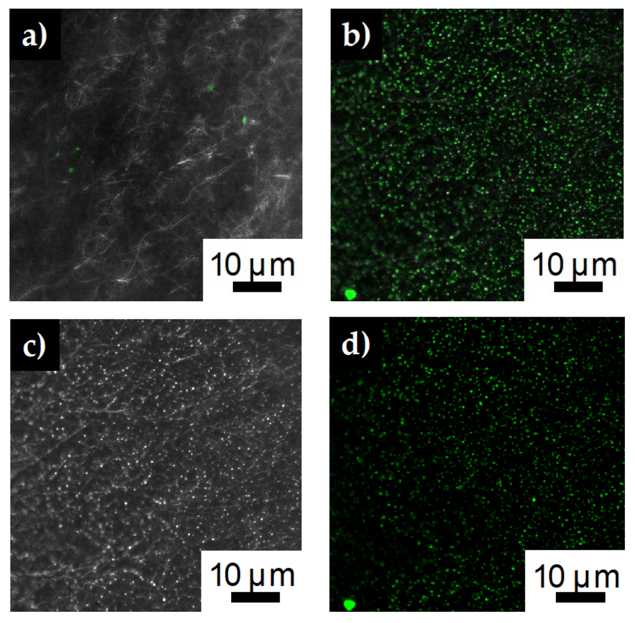Polymers 12 01117 g005