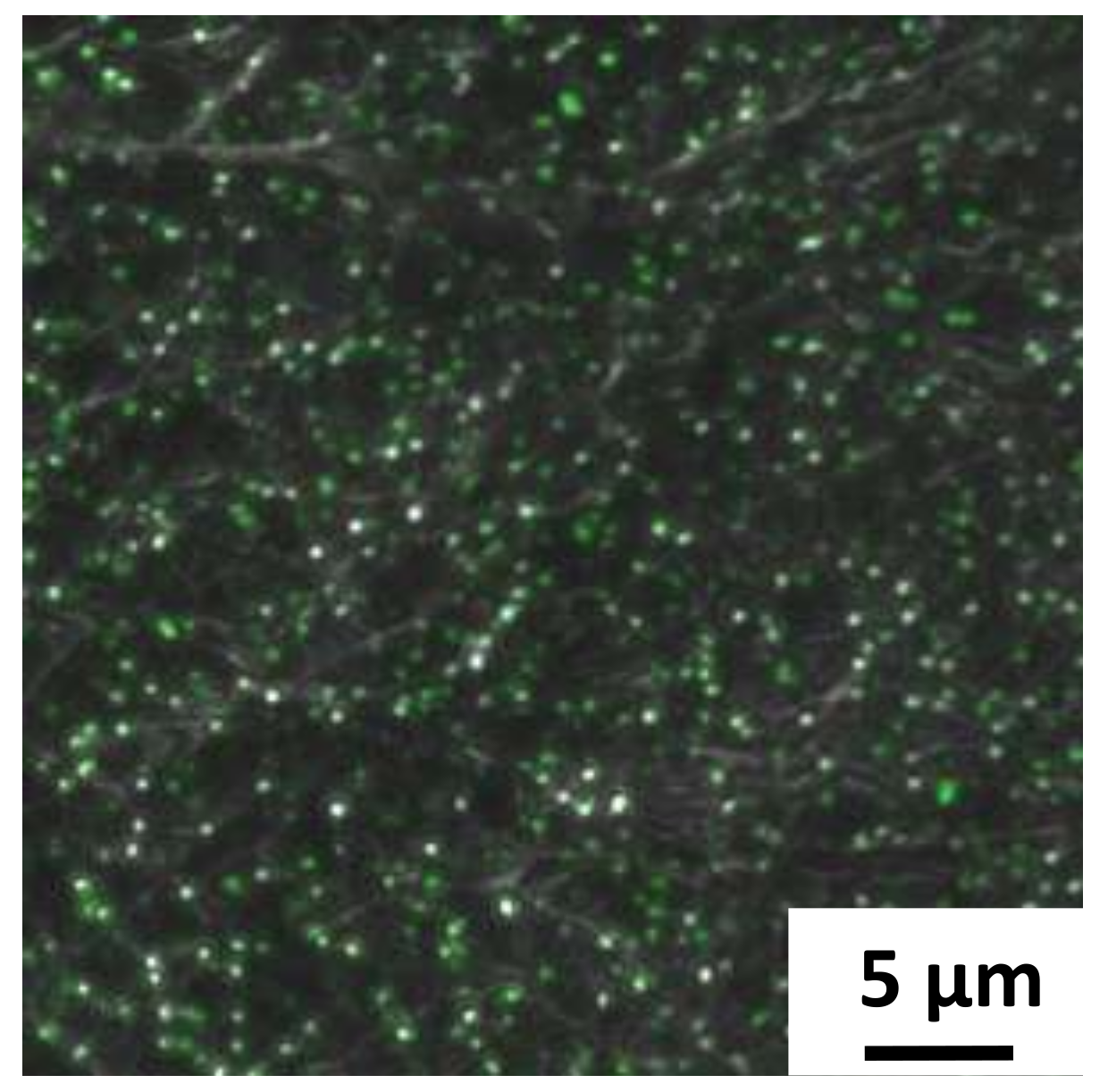 Polymers 12 01117 g006