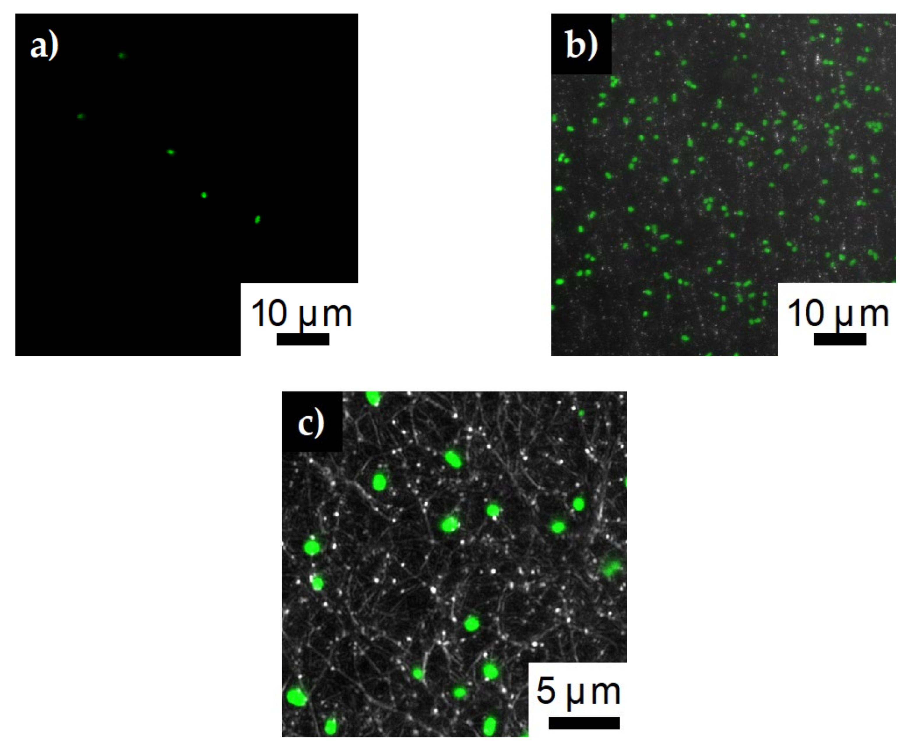 Polymers 12 01117 g010