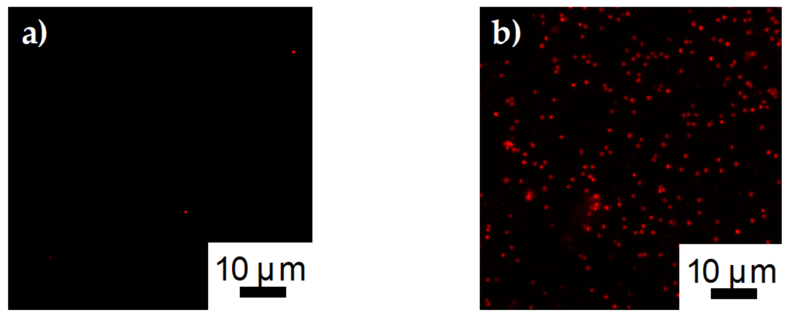 Polymers 12 01117 g012