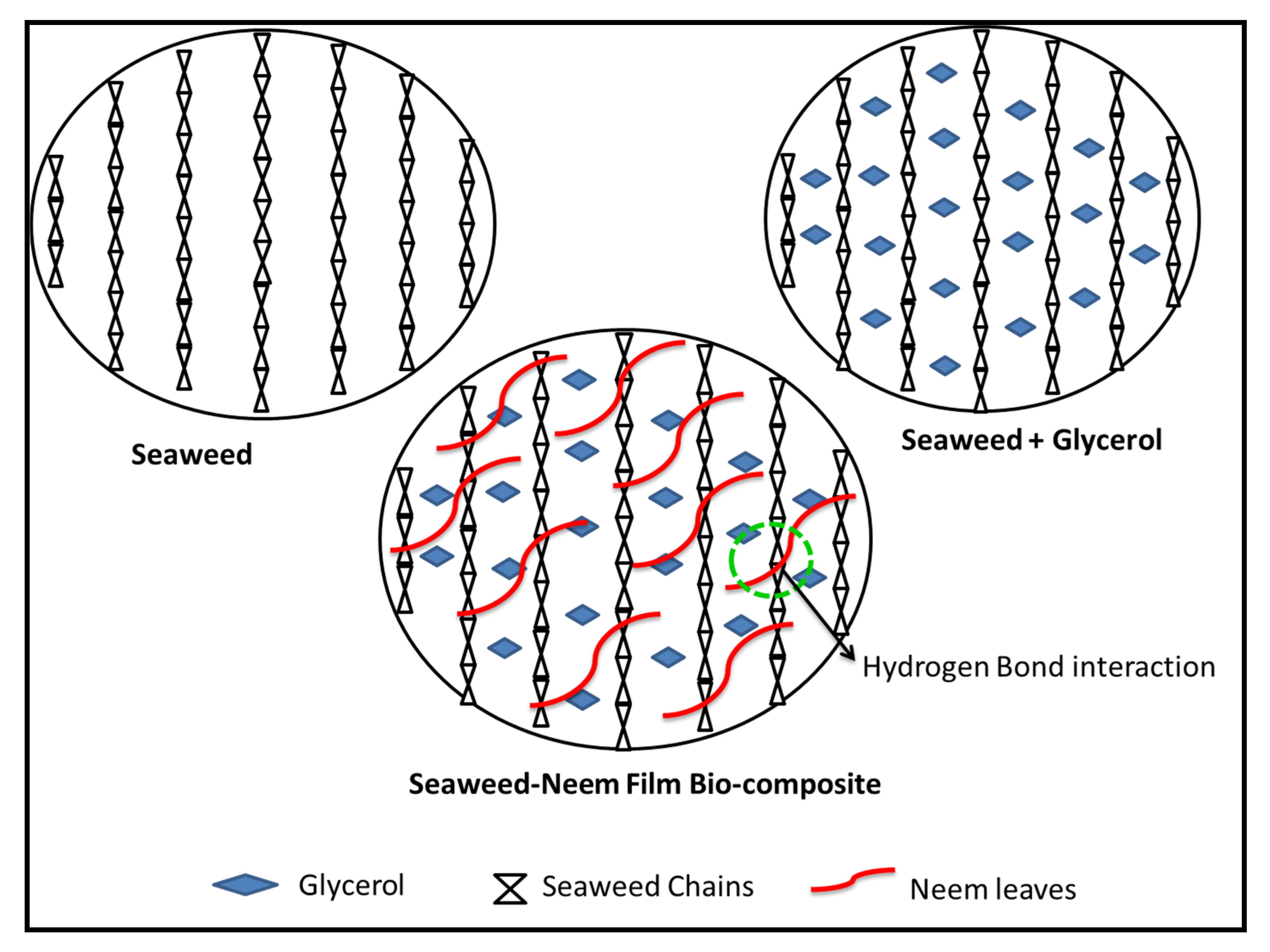 Polymers 12 01119 g004