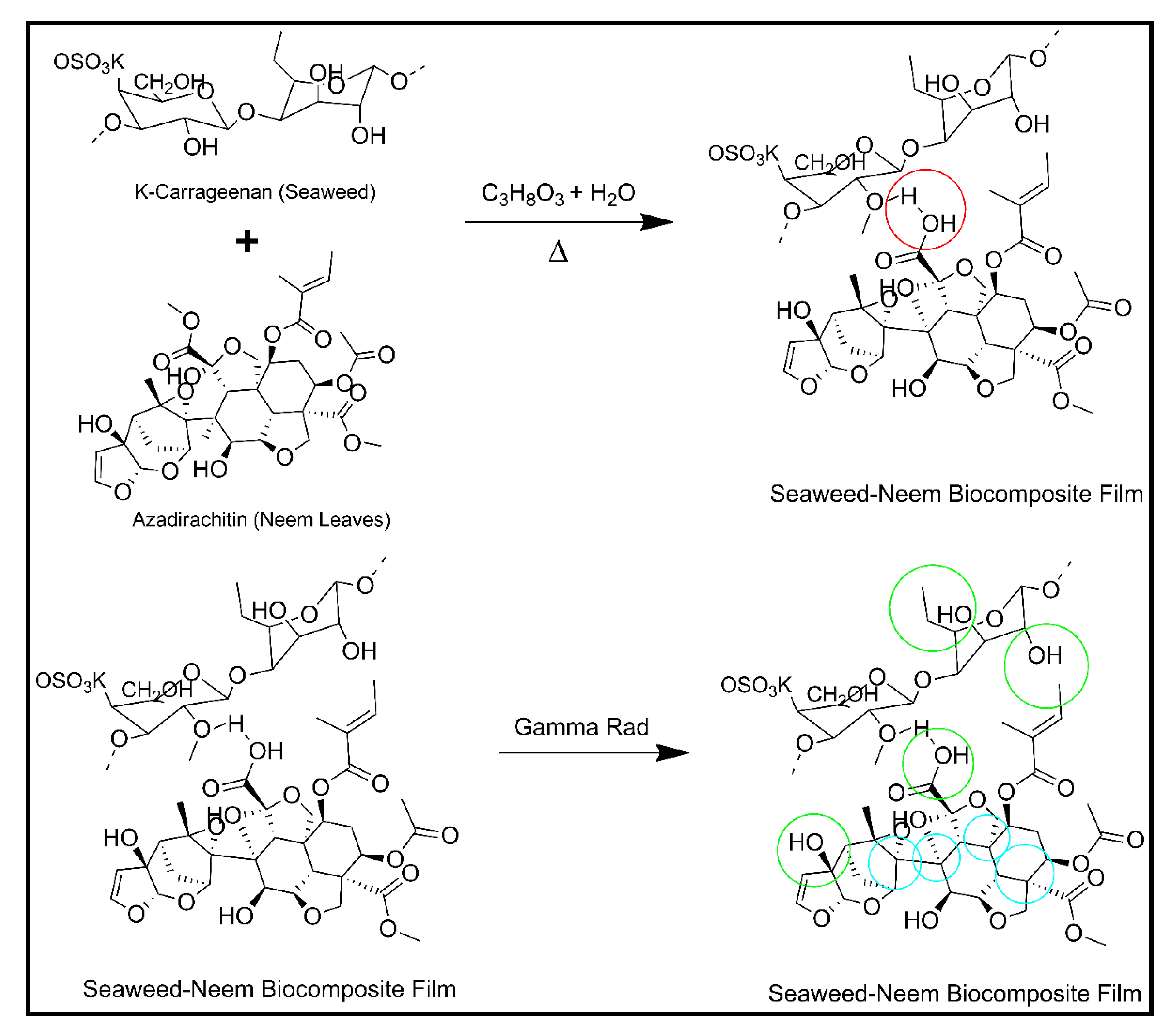 Polymers 12 01119 g006