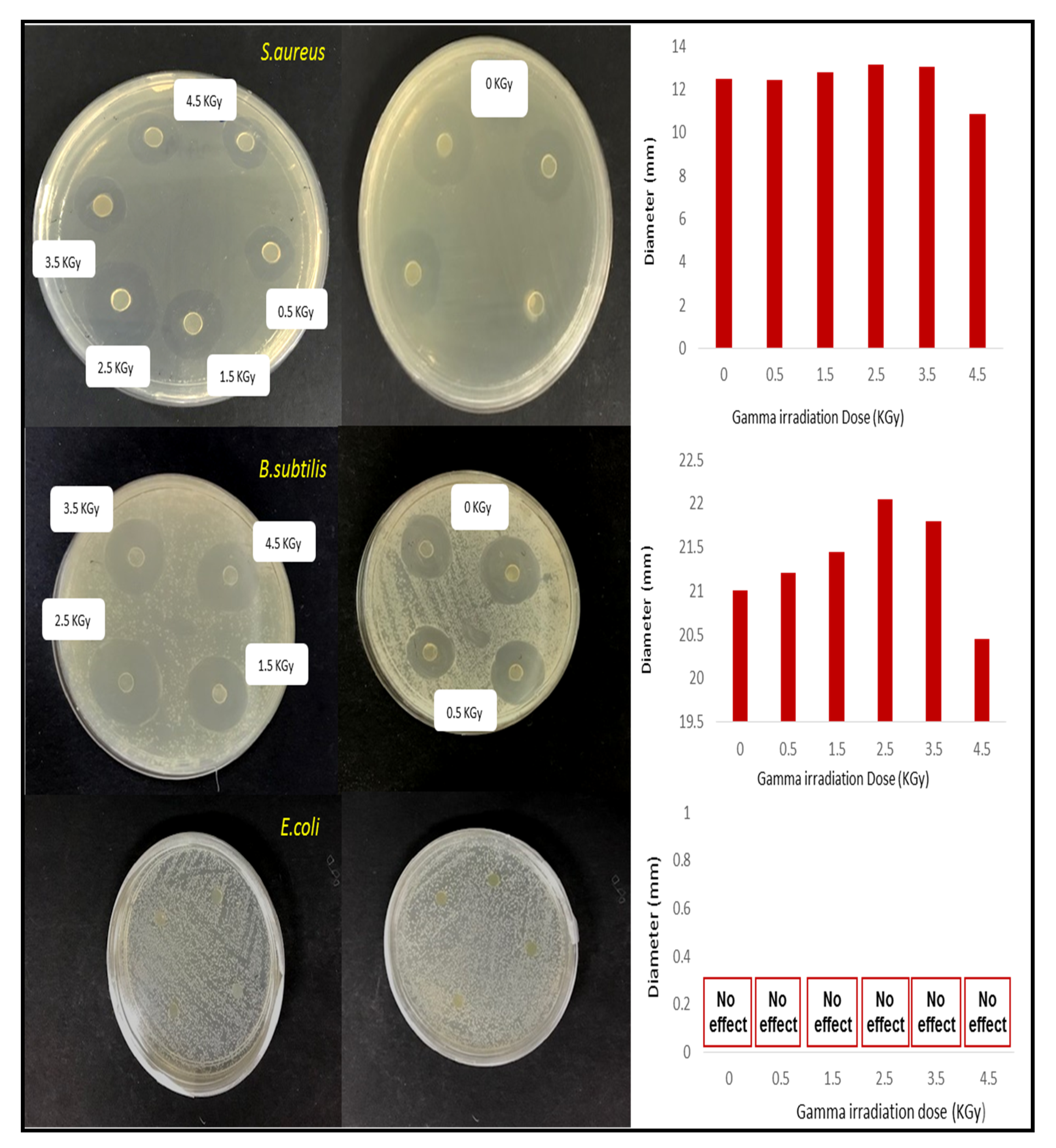 Polymers 12 01119 g009