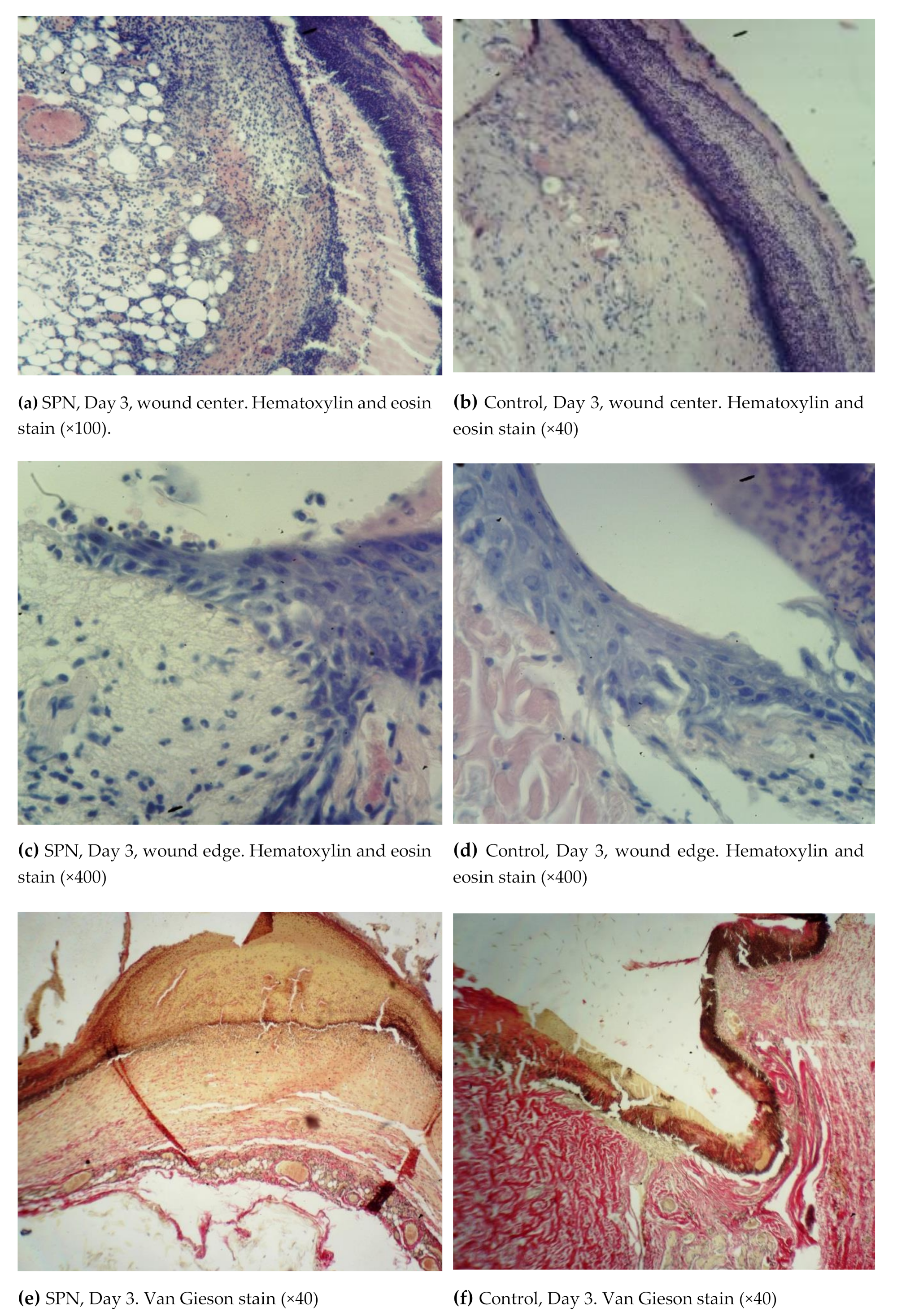 Polymers 12 01126 g003