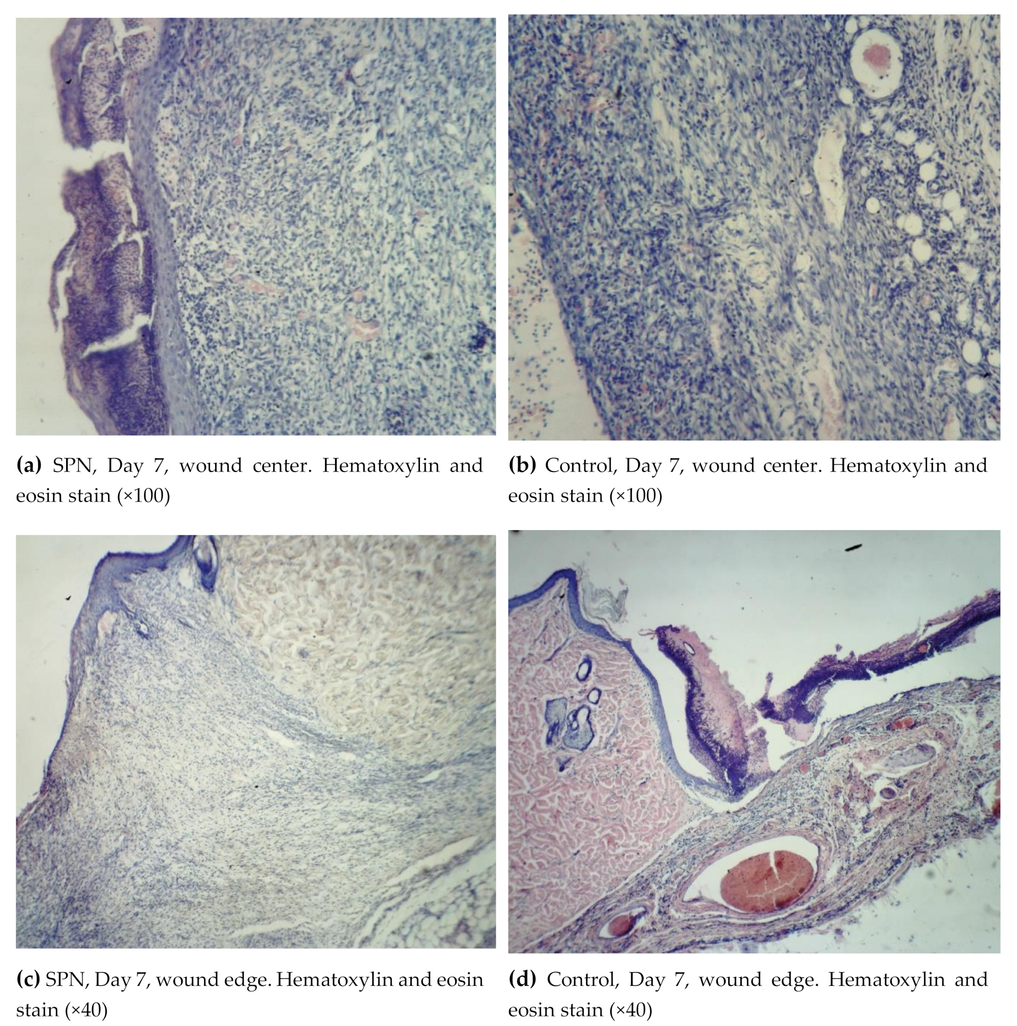 Polymers 12 01126 g004a