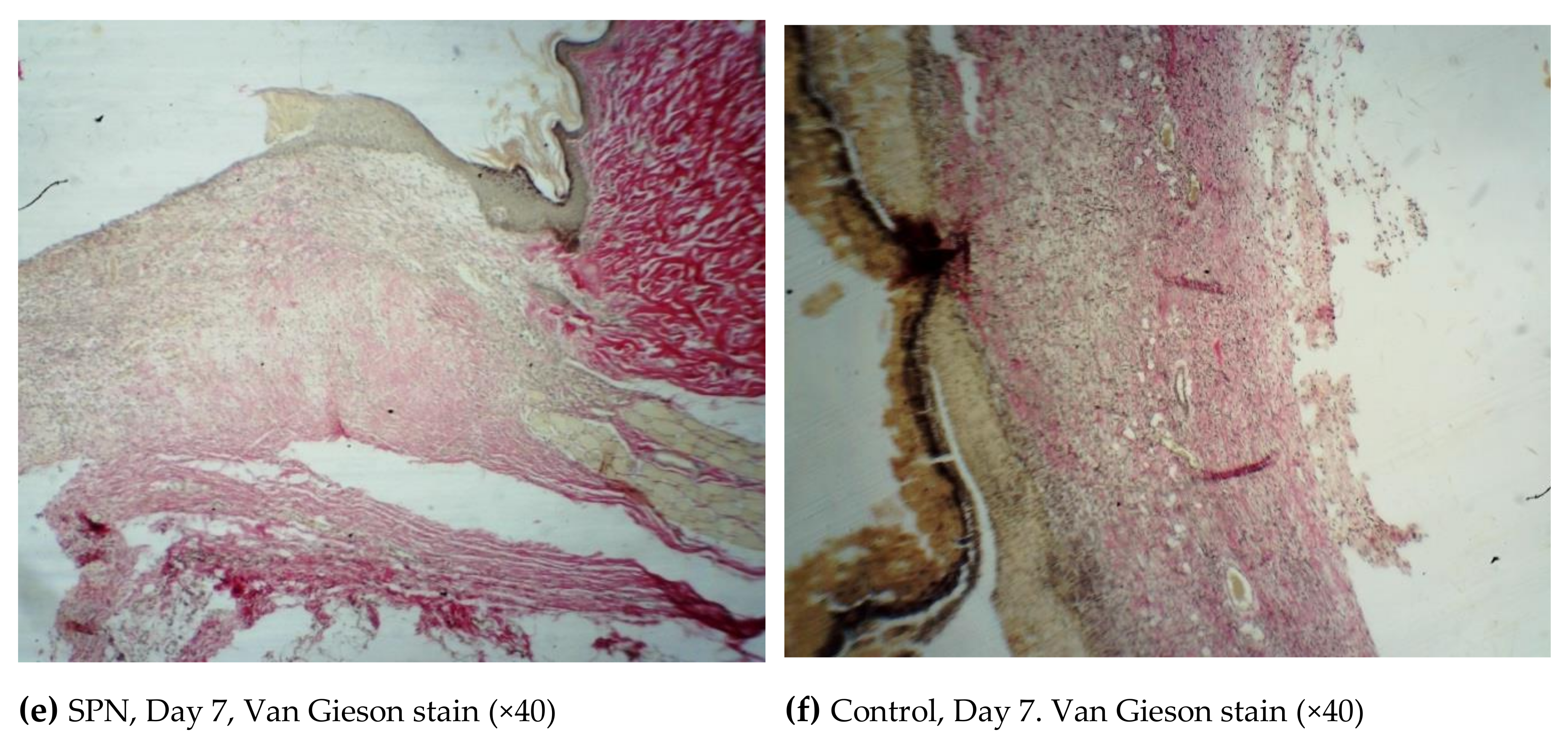 Polymers 12 01126 g004b