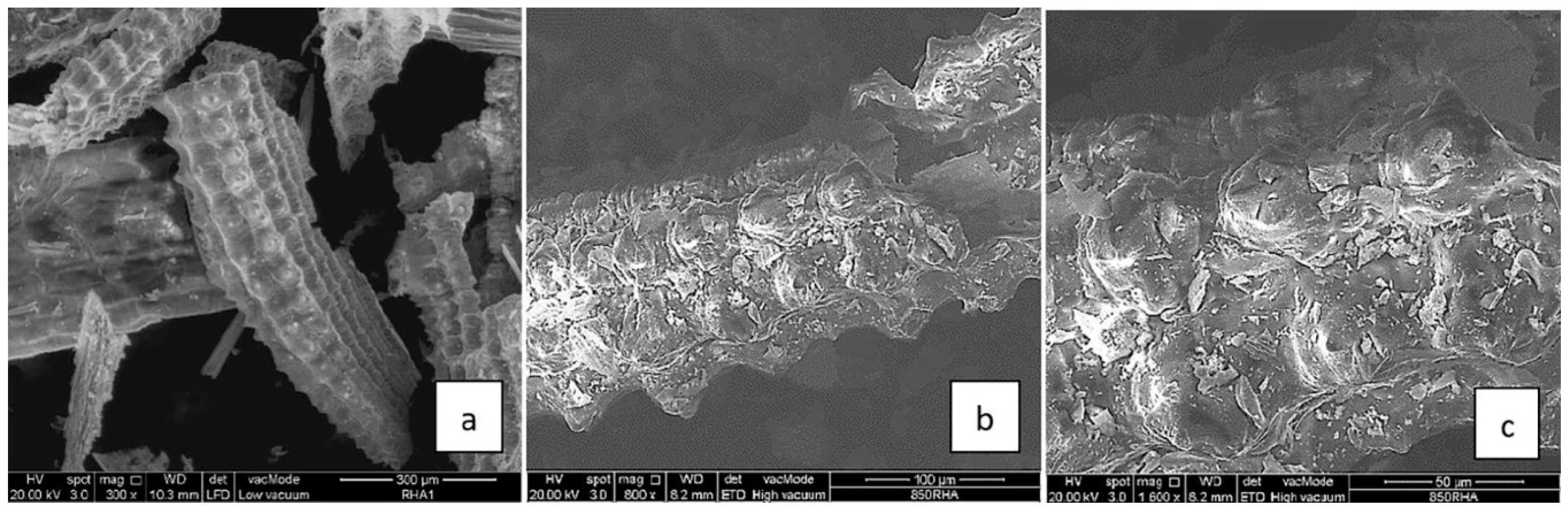 Polymers 12 01127 g003