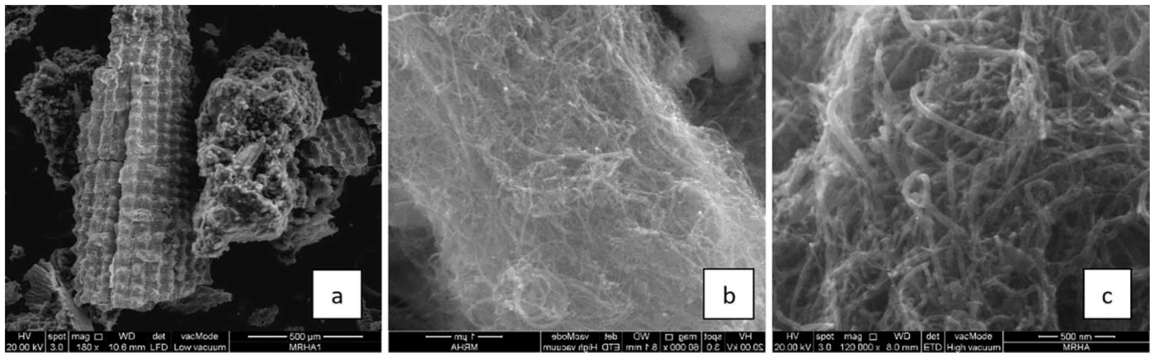 Polymers 12 01127 g004