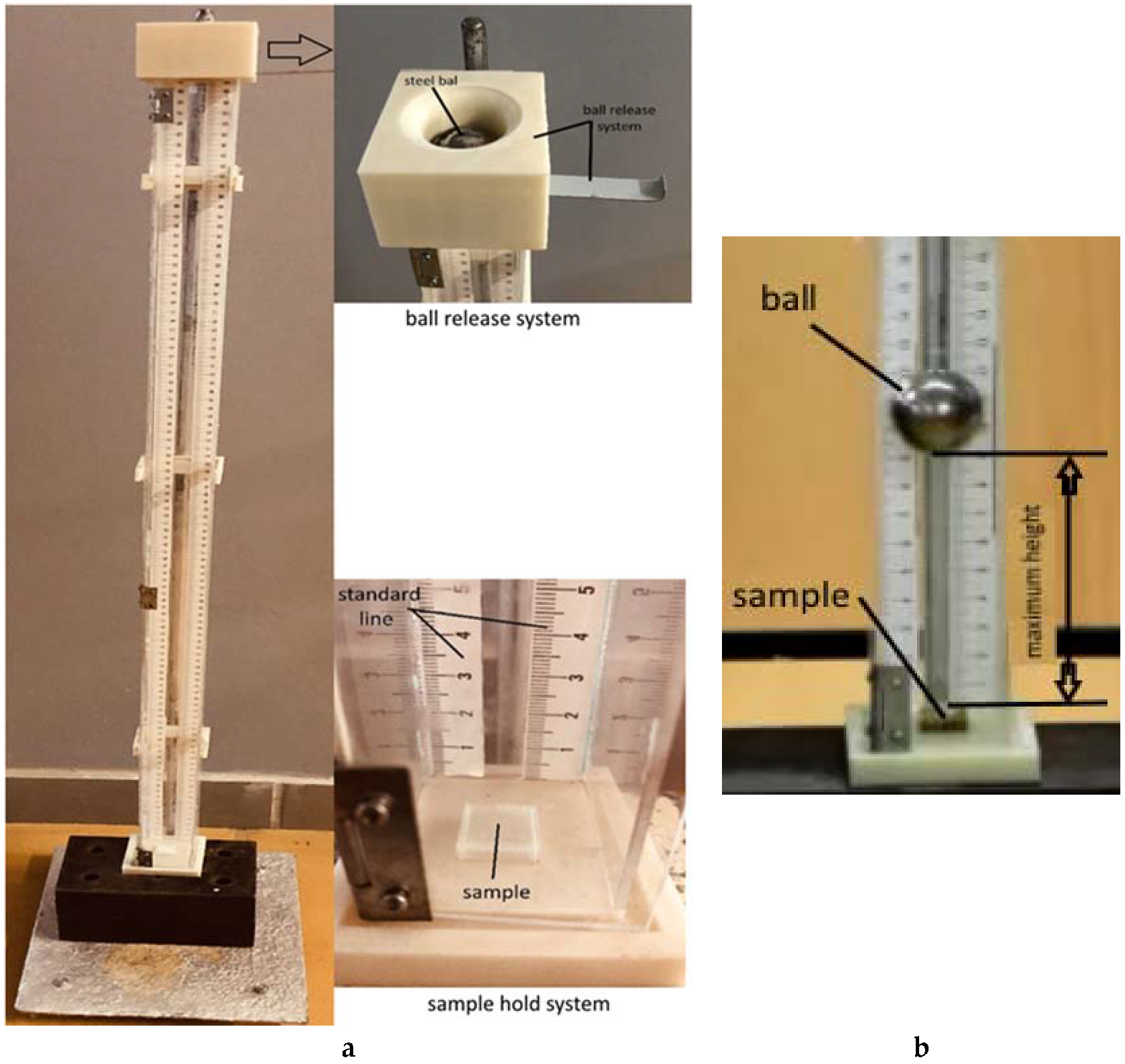 Polymers 12 01129 g002