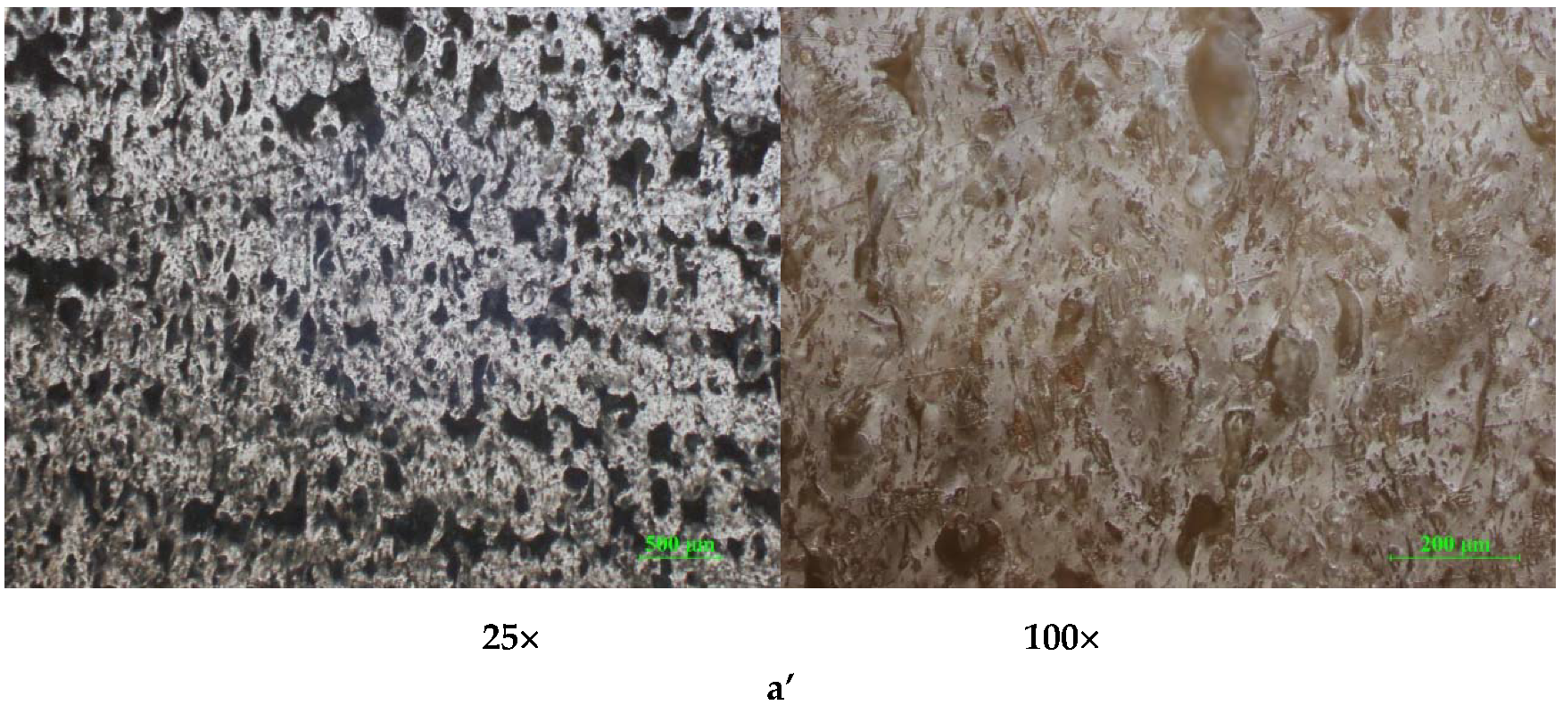 Polymers 12 01129 g013b